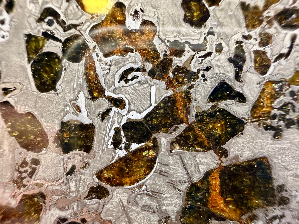 Macro view, Gyarub Zangbo Pallasite, olivine crystals with iron oxidation staining in the metal matrix, 74.92g