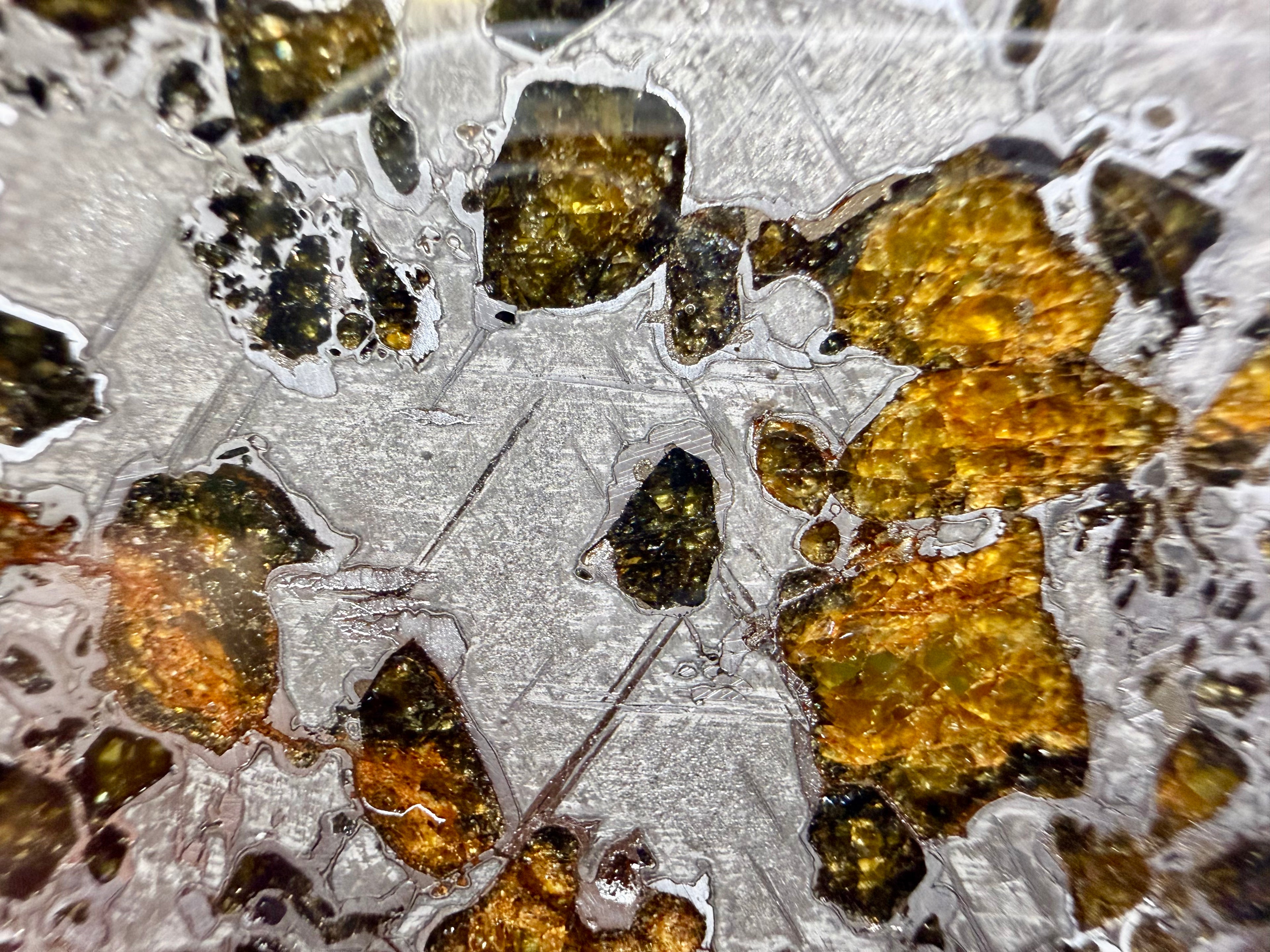 Macro view, Gyarub Zangbo Pallasite, olivine crystals across a field of etched Widmanstatten metal pattern, 74.92g