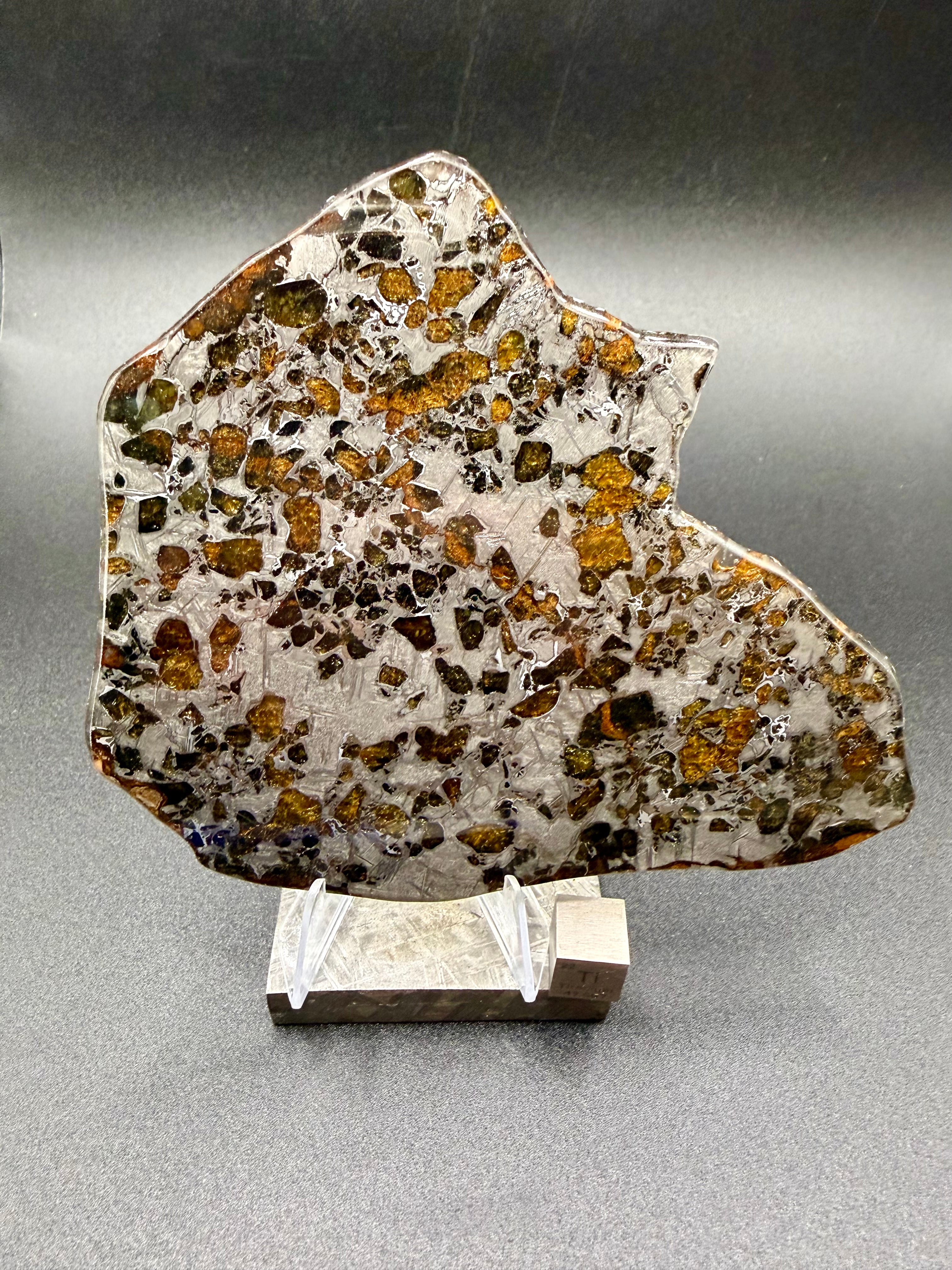Reverse polished face, Gyarub Zangbo Pallasite, olivine crystals in iron-nickel matrix on dark background, 74.92g