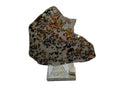 Polished slice, Gyarub Zangbo Pallasite, displayed face showing olivine crystals and iron-nickel matrix, 74.92g