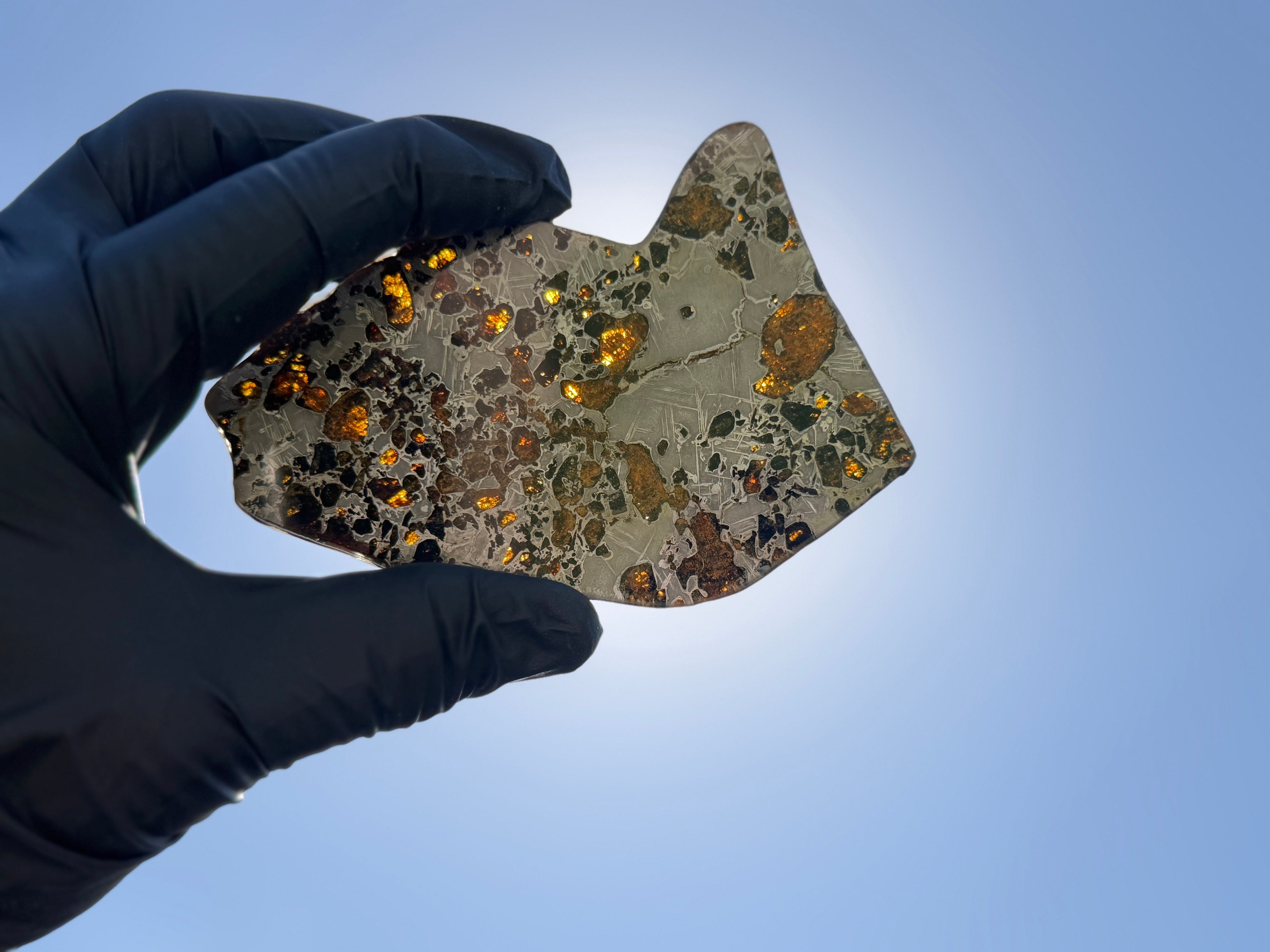 Backlit slice held in gloved hand against blue sky, Gyarub Zangbo Ungrouped Pallasite, olivine grains glowing translucent in sunlight, 76.62g