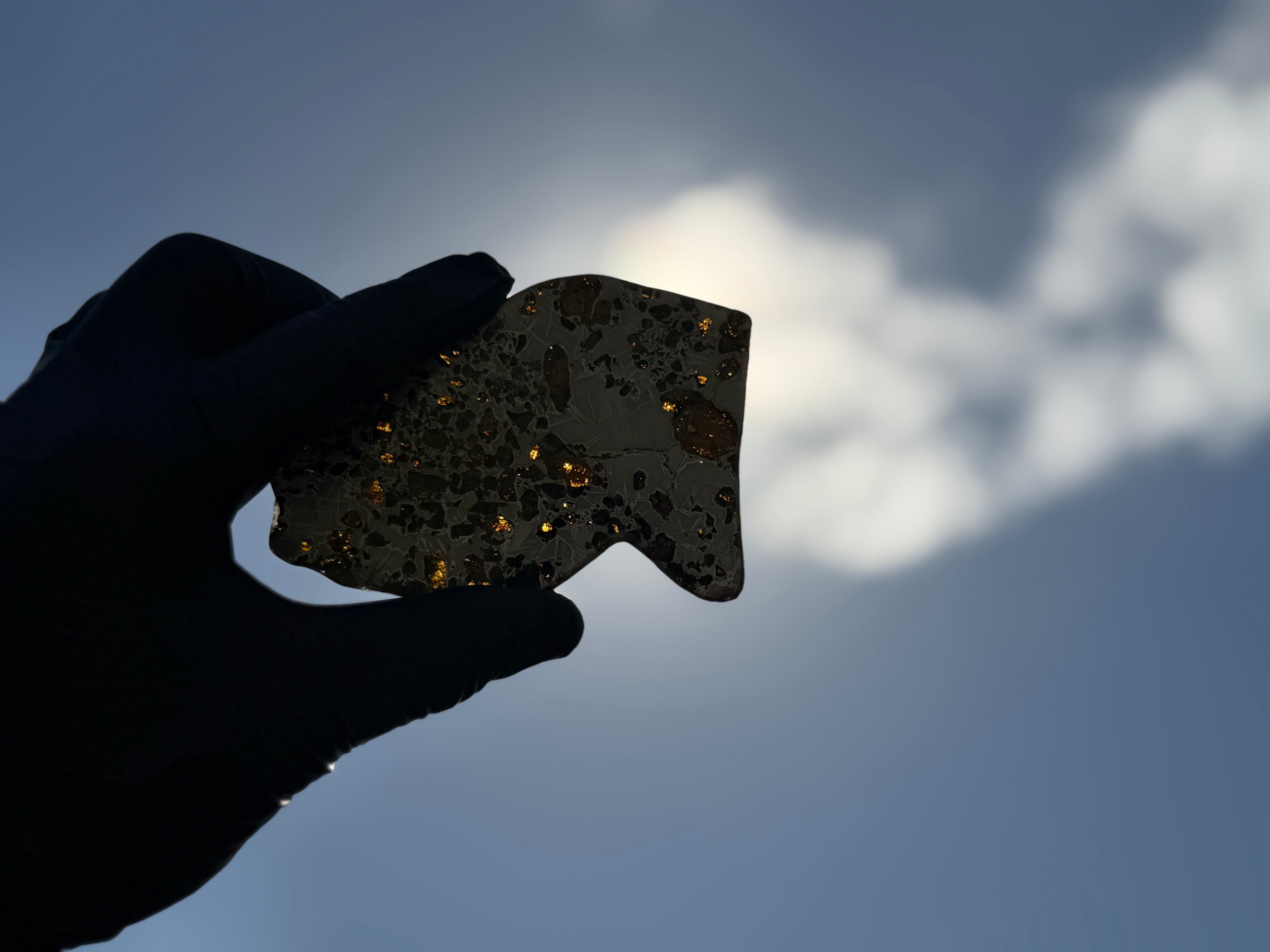 Backlit silhouette against sun, Gyarub Zangbo Ungrouped Pallasite, olivine inclusions visible as glowing flecks within darkened slice, 76.62g