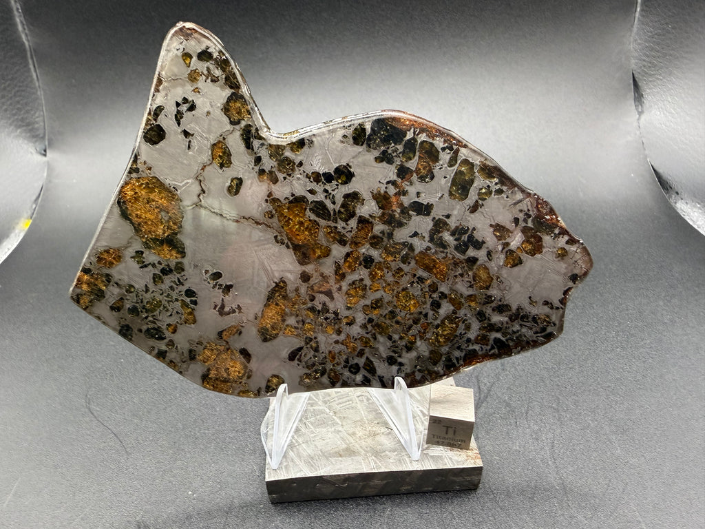 Polished face on stand against dark background, Gyarub Zangbo Ungrouped Pallasite, displayed slice showing olivine and iron-nickel matrix, 76.62g