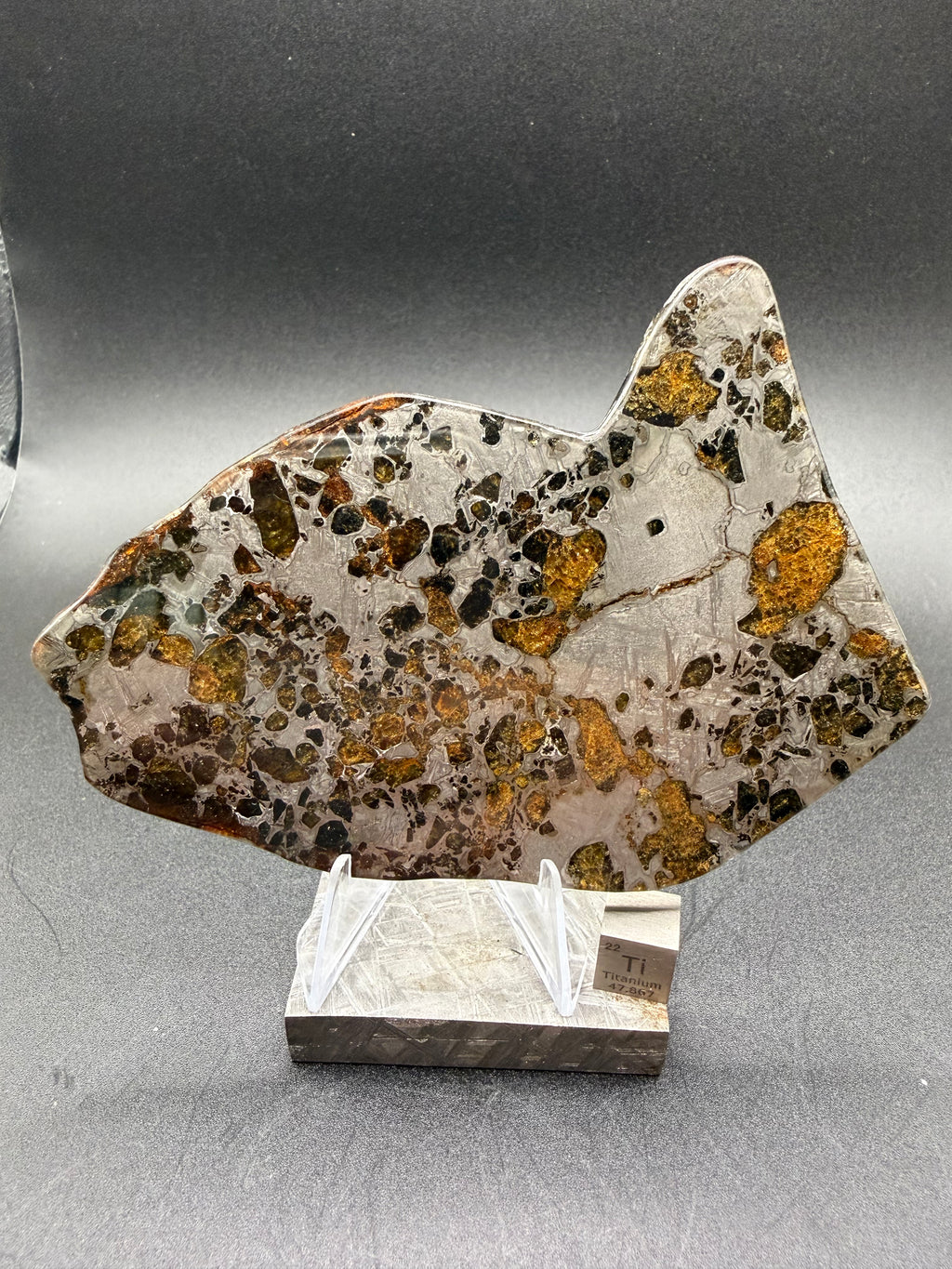 Full polished face on display stand, Gyarub Zangbo Ungrouped Pallasite, scattered olivine clusters set in mirrored iron-nickel matrix, 76.62g