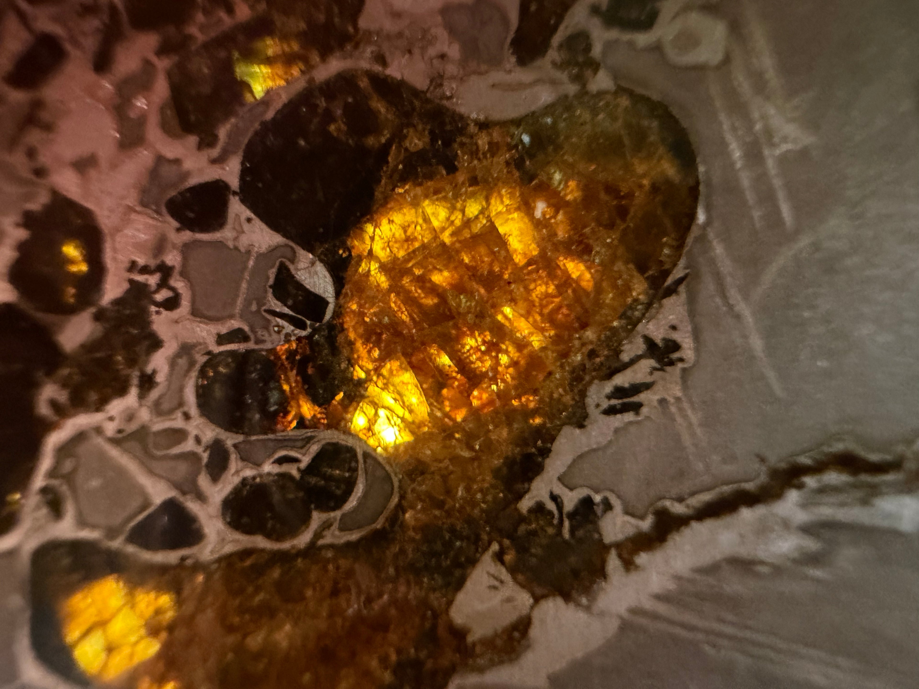 Macro detail, Gyarub Zangbo Ungrouped Pallasite, backlit amber olivine cleavage face glowing within iron-nickel matrix, 76.62g