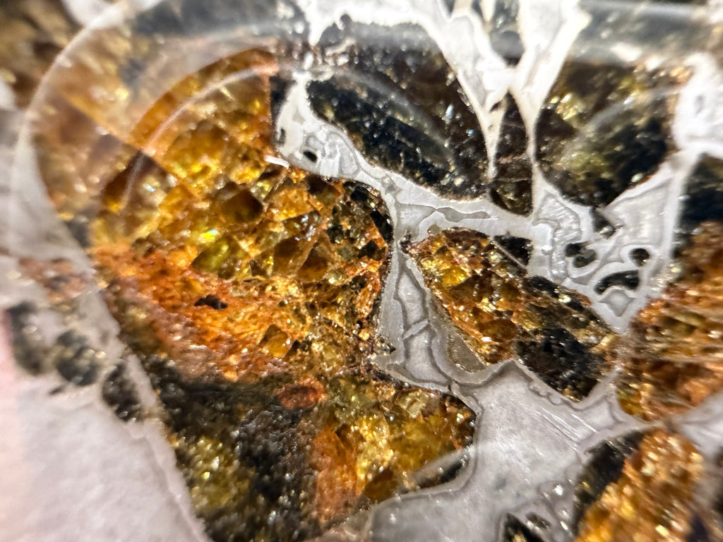 Macro close-up, Gyarub Zangbo Ungrouped Pallasite, fractured olivine crystal showing cleavage planes with amber and gold reflections, 76.62g