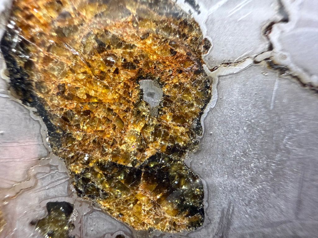 Macro detail, Gyarub Zangbo Ungrouped Pallasite, weathered olivine crystal with terrestrial oxidation alongside polished iron-nickel metal, 76.62g