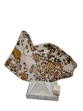 Polished pallasite slice, Gyarub Zangbo Ungrouped Pallasite, full face on acrylic stand with white background, 76.62g