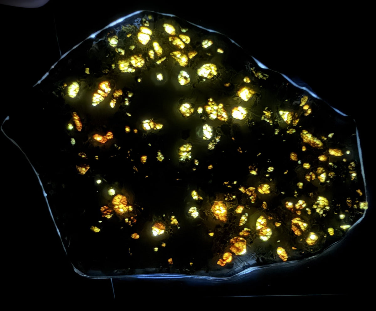 Backlit Gyarub Zangbo pallasite slice, 84.69g, translucent gold and amber olivine across the whole face