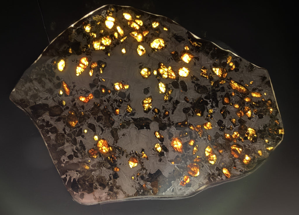 Gyarub Zangbo pallasite slice, 84.69g, full face under transmitted light with olivine glowing amber and gold