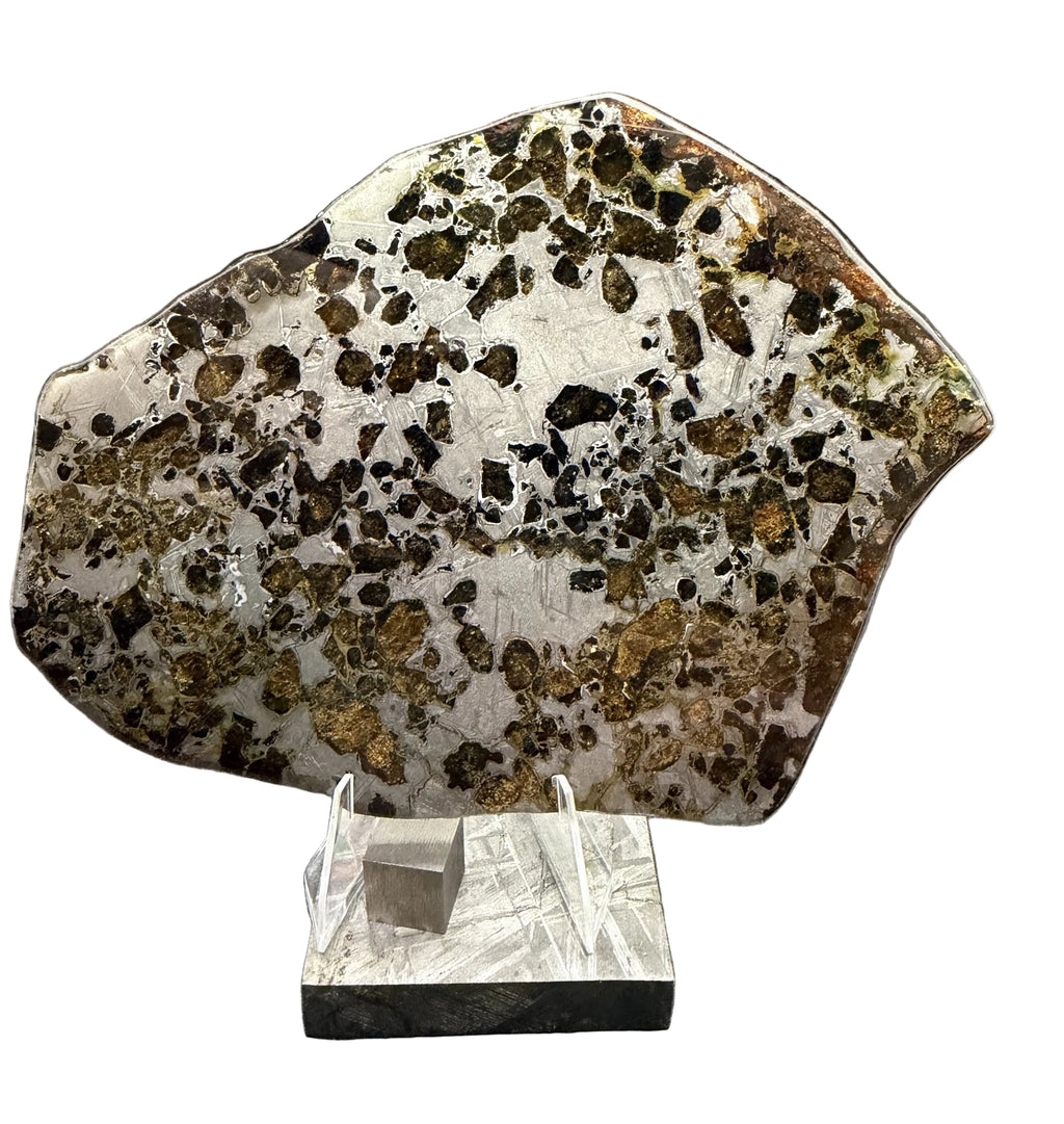 Gyarub Zangbo ungrouped pallasite slice, 84.69g, polished and etched face on a display stand, olivine in iron-nickel metal