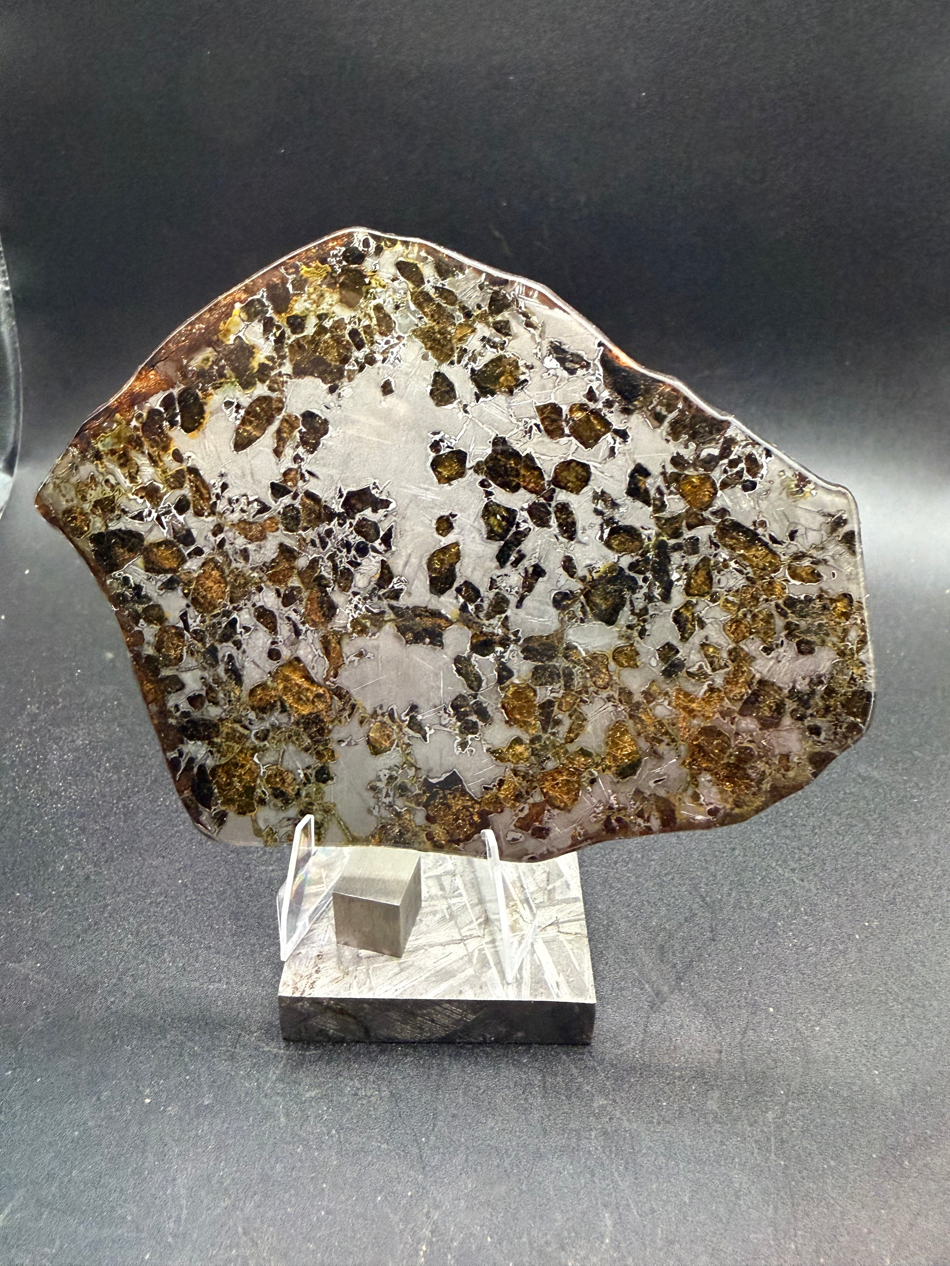 太陽系外の惑星 Gyarub Zangbo チベット産　パラサイト隕石　標本 Gyarub Zangbo Pallasite Meteorite Slice, 84.69g, Ungrouped