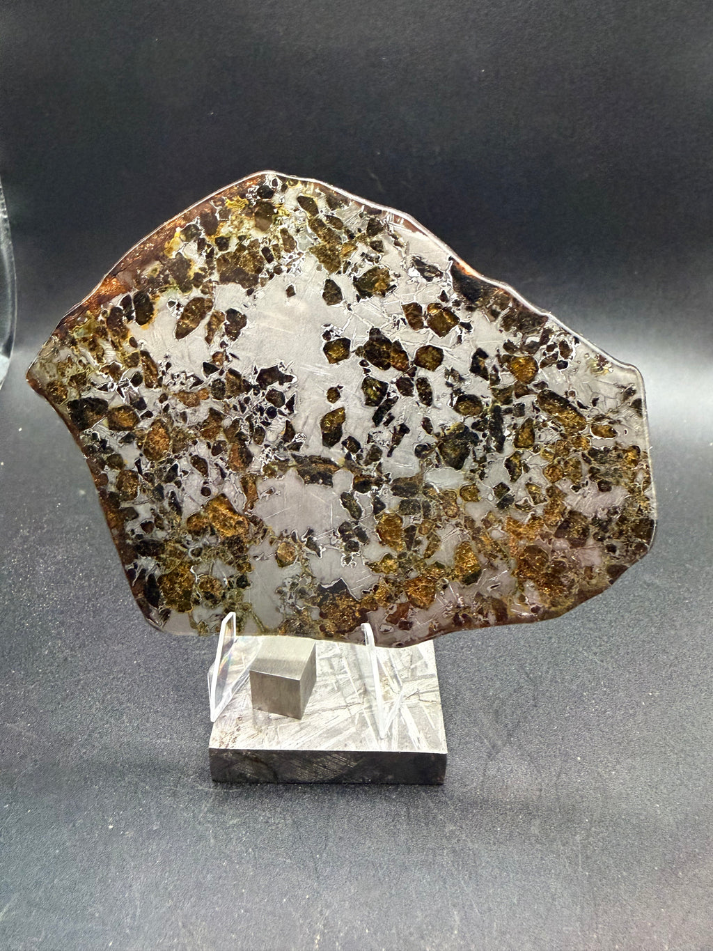 Reverse face of the Gyarub Zangbo pallasite slice, 84.69g, on a display stand, olivine distribution across the polished metal