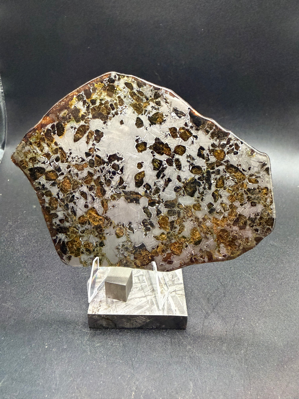 Reverse face of the Gyarub Zangbo pallasite slice, 84.69g, on a display stand, olivine distribution across the polished metal