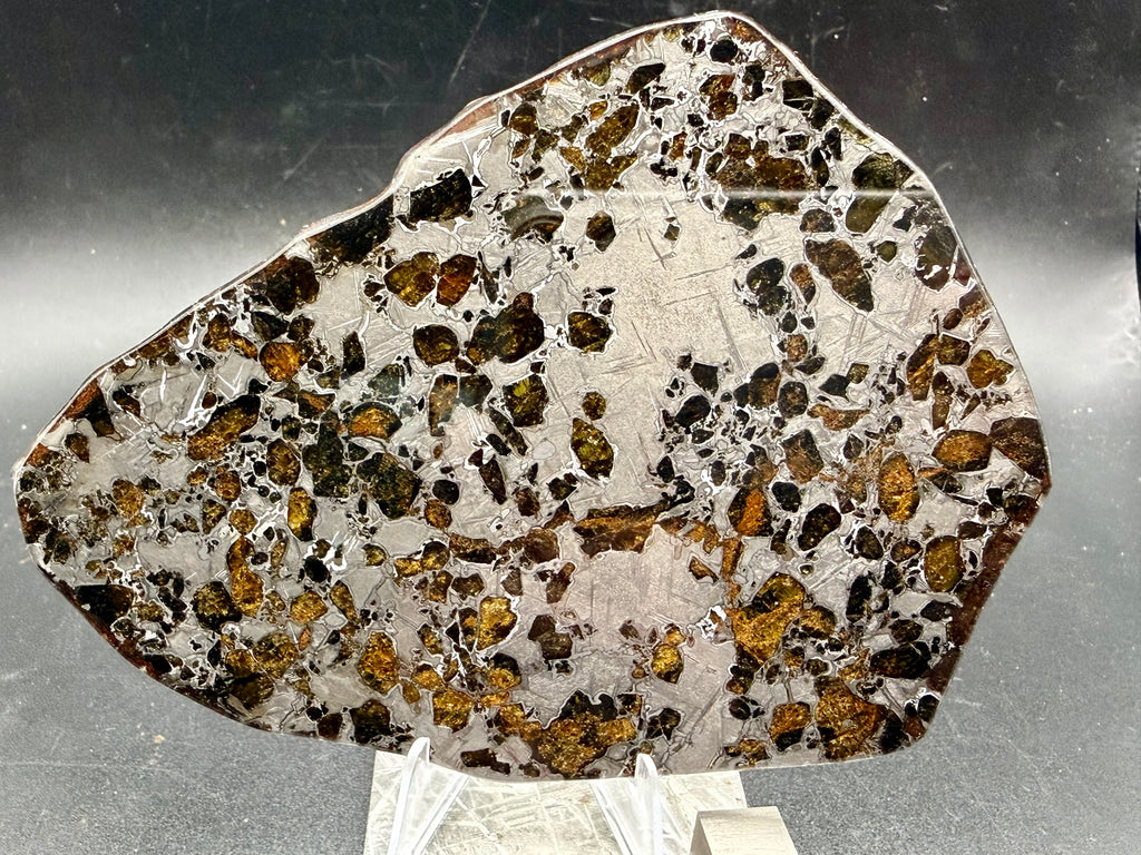 Polished face, Gyarub Zangbo Pallasite, olivine crystals in iron-nickel matrix on dark background, 86.11g