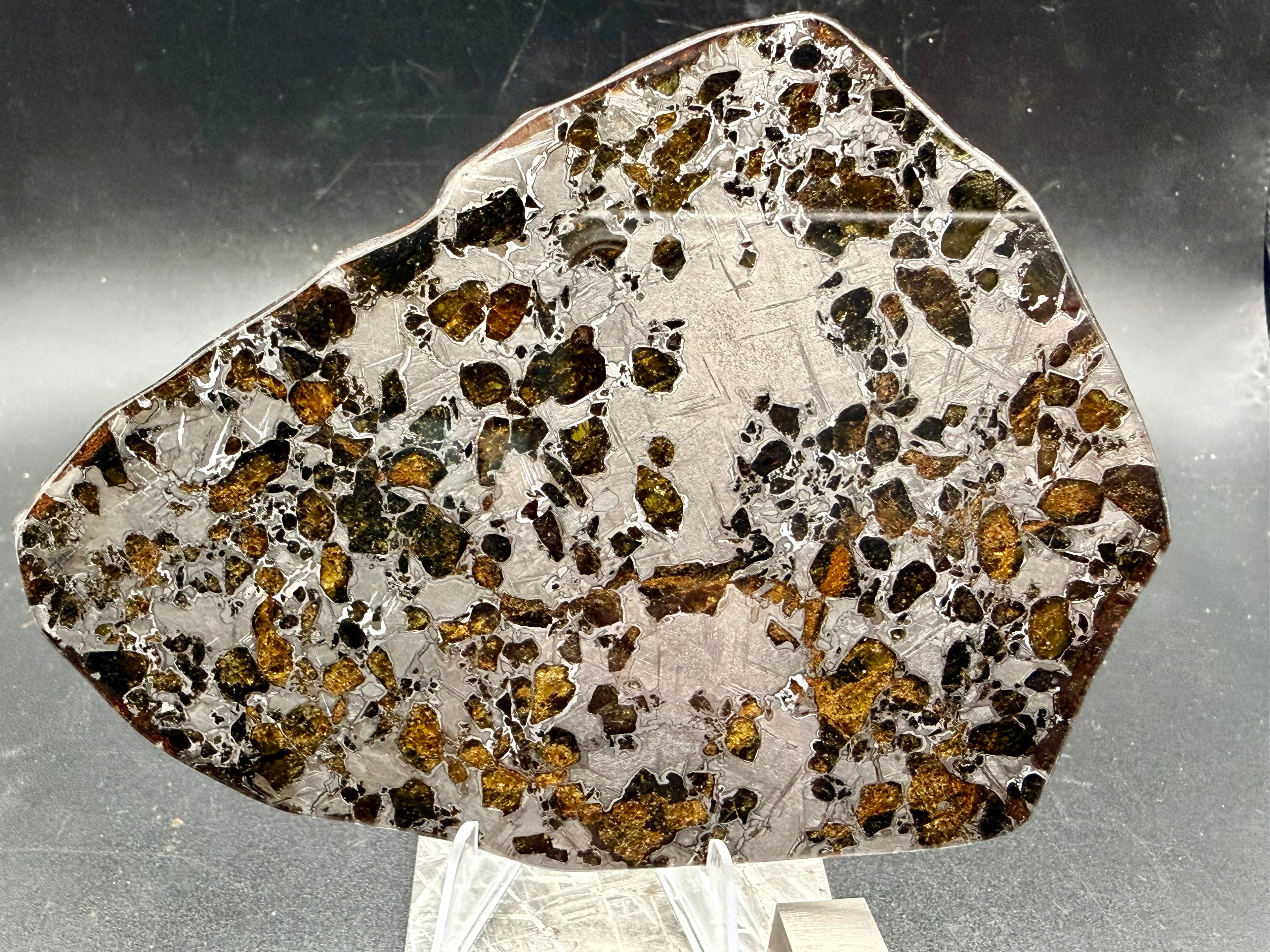 Polished face, Gyarub Zangbo Pallasite, olivine crystals in iron-nickel matrix on dark background, 86.11g