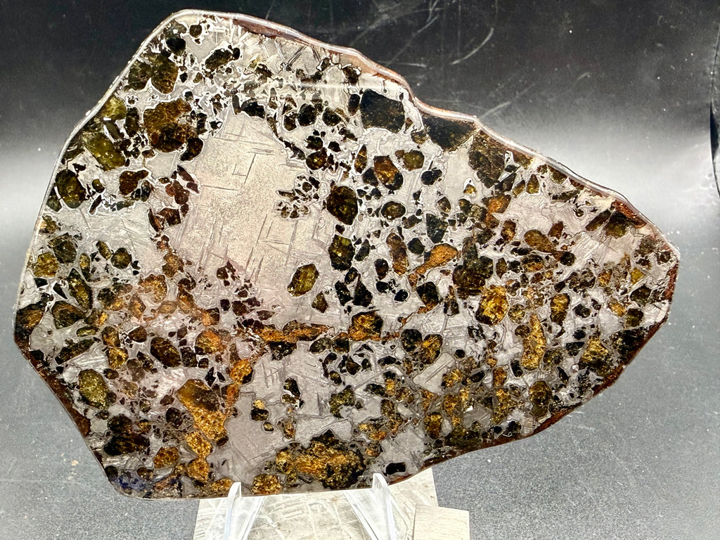 Full polished face, Gyarub Zangbo Pallasite, scattered olivine crystals with Widmanstatten pattern in metal zones, 86.11g
