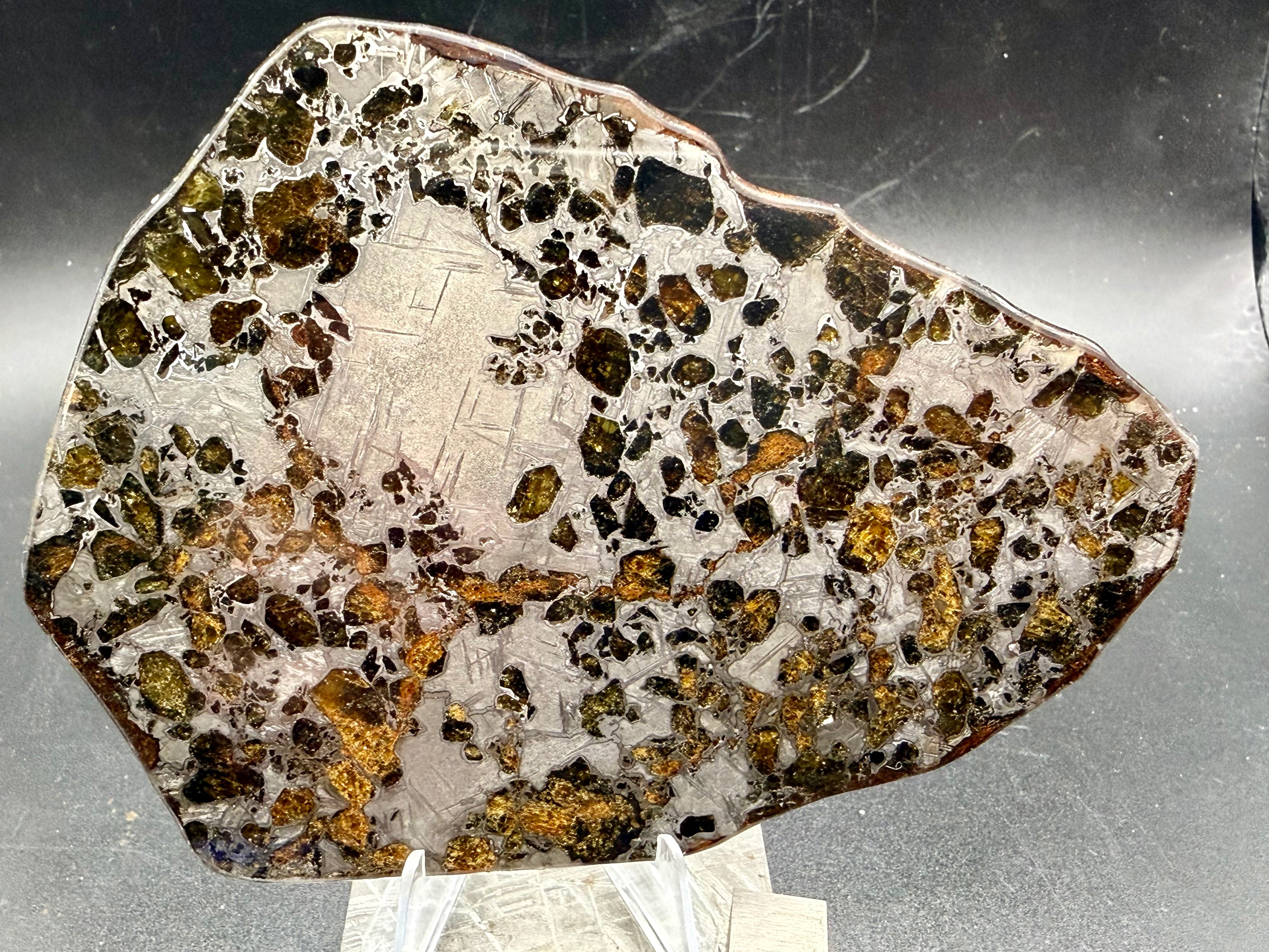 Full polished face, Gyarub Zangbo Pallasite, scattered olivine crystals with Widmanstatten pattern in metal zones, 86.11g