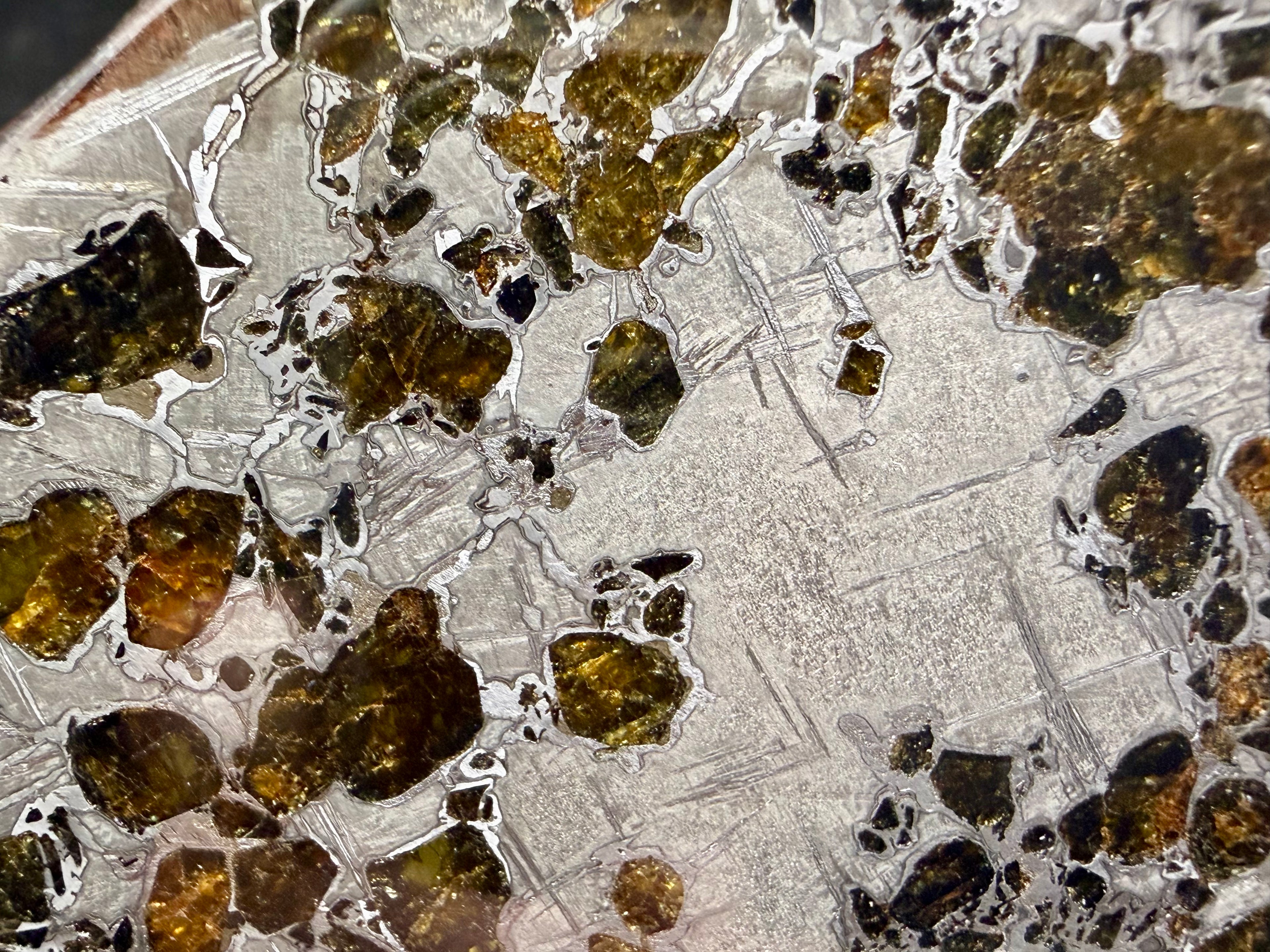 Macro close-up, Gyarub Zangbo Pallasite, olive-green olivine crystals embedded in polished iron-nickel matrix, 86.11g
