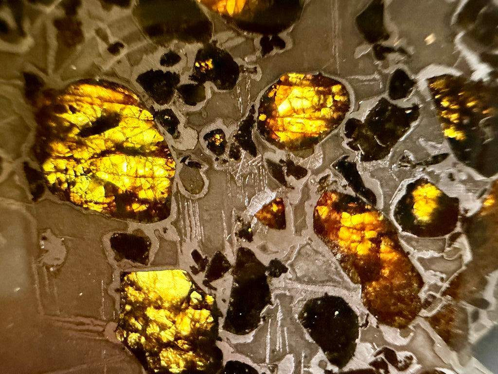 Macro detail, Gyarub Zangbo Pallasite, backlit olivine crystals glowing amber within dark iron-nickel matrix, 86.11g