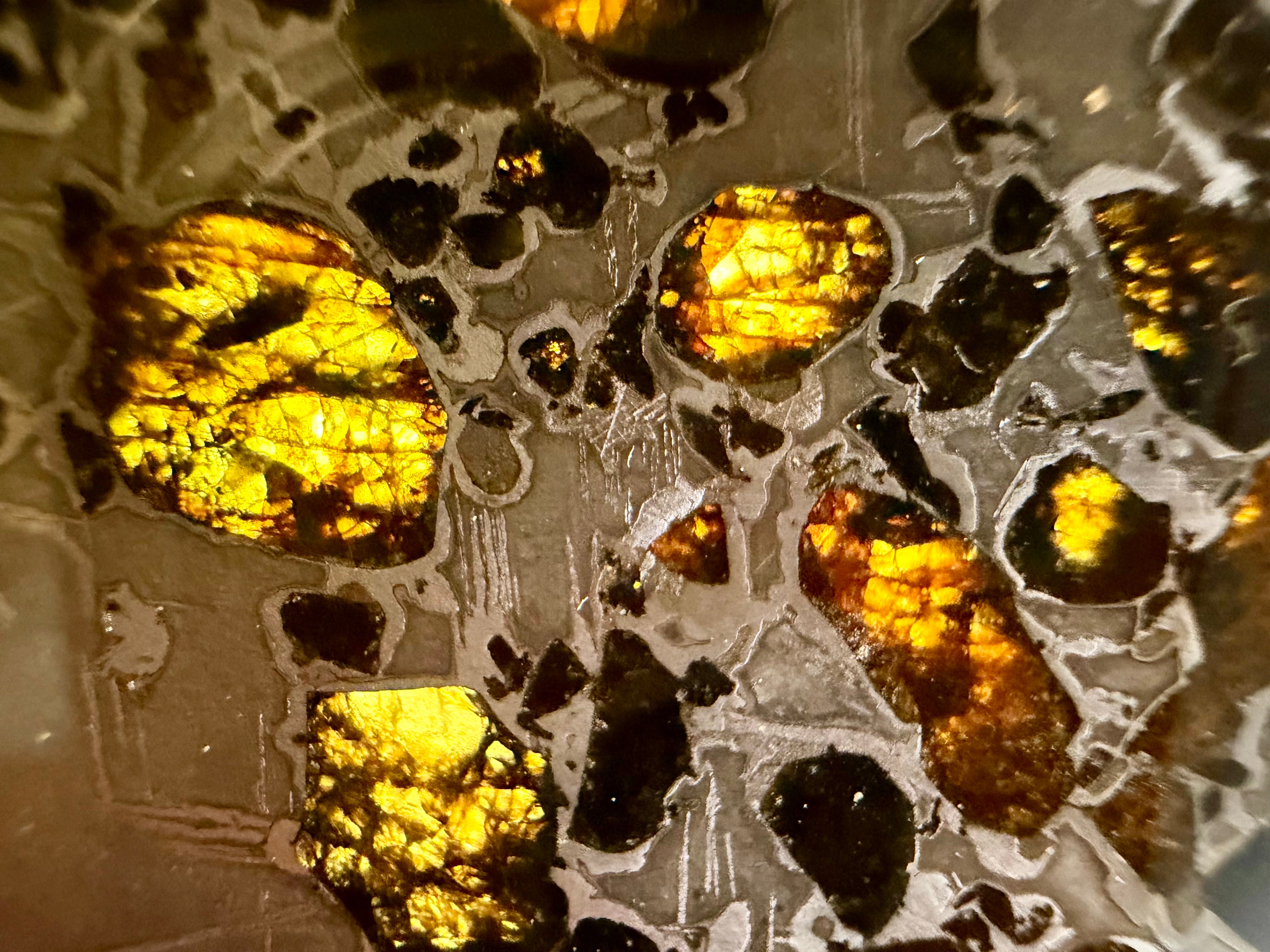 Macro detail, Gyarub Zangbo Pallasite, backlit olivine crystals glowing amber within dark iron-nickel matrix, 86.11g