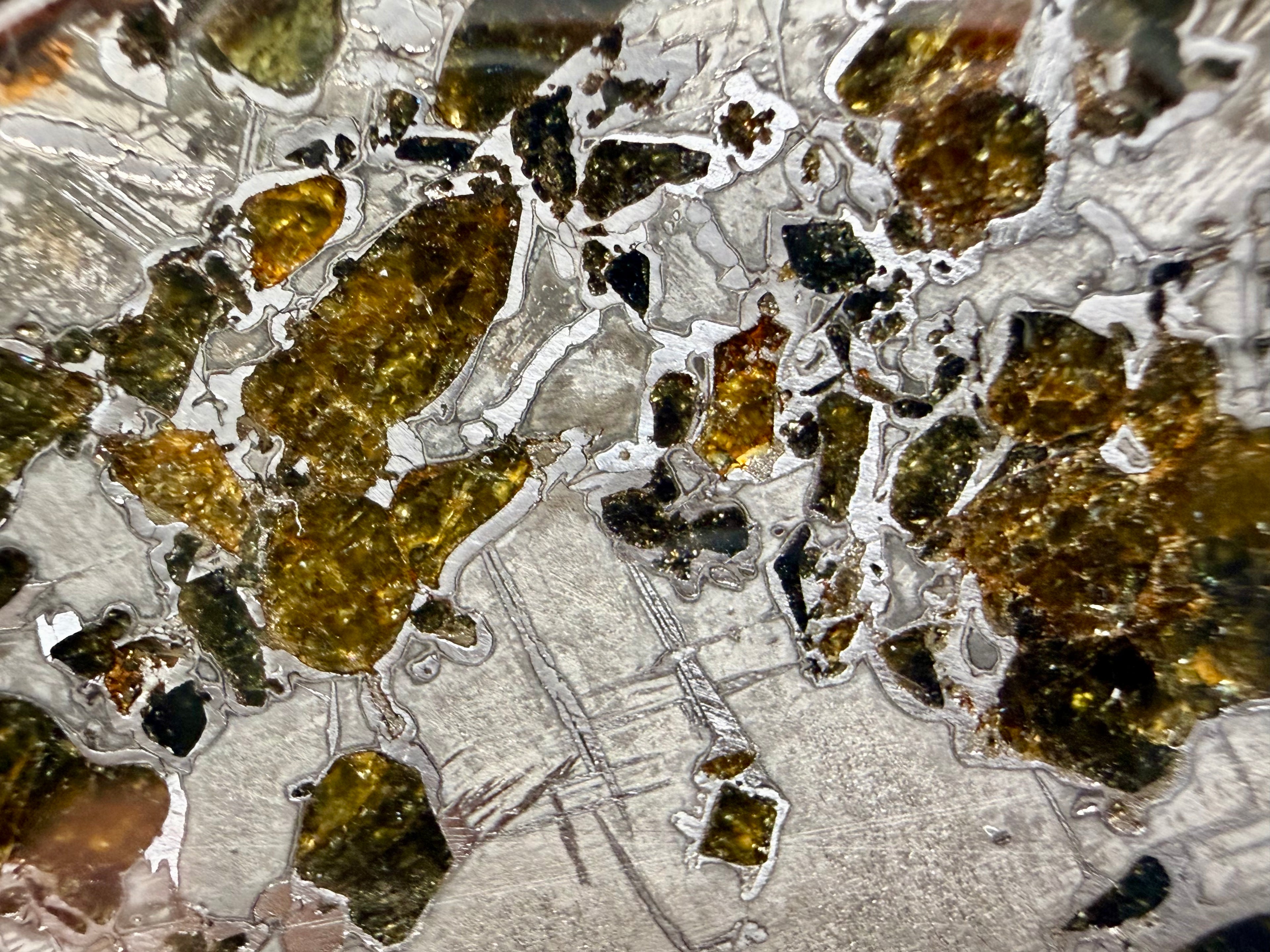 Macro view, Gyarub Zangbo Pallasite, olivine crystals beside etched Widmanstatten pattern in iron-nickel metal, 86.11g