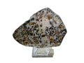Polished slice, Gyarub Zangbo Pallasite, displayed face showing olivine crystals and iron-nickel matrix, 86.11g