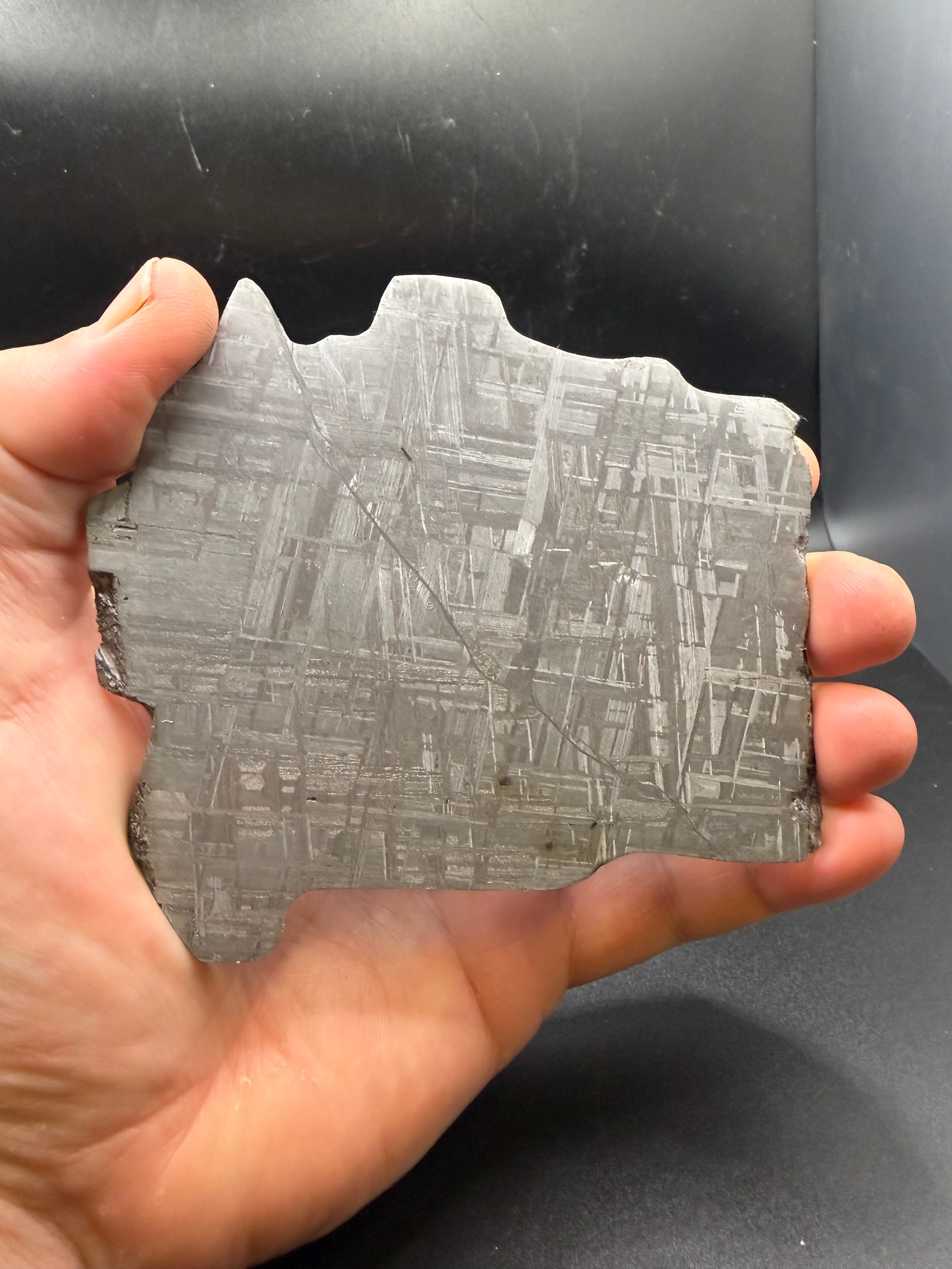 Muonionalusta iron meteorite slice 292.00g -- oblique view of Widmanstätten structure with light reflection across etched kam