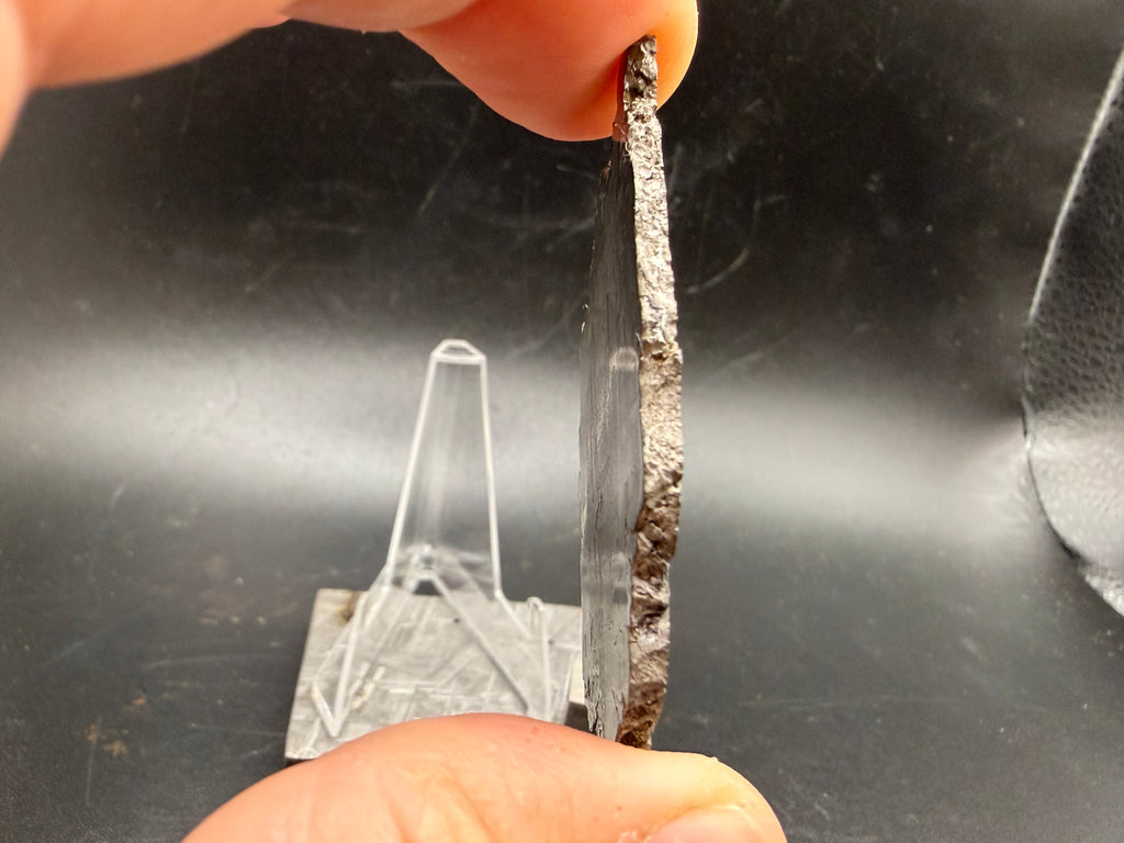 Kaalijärv iron meteorite 29.51g full slice profile edge view showing thickness along natural edge