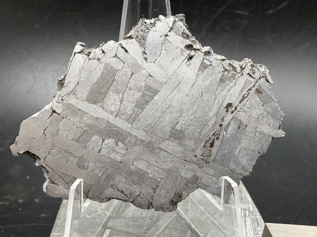 Kaalijärv iron meteorite 31.18g full slice close-up of etched face showing band detail within kamacite lamellae and taenite borders