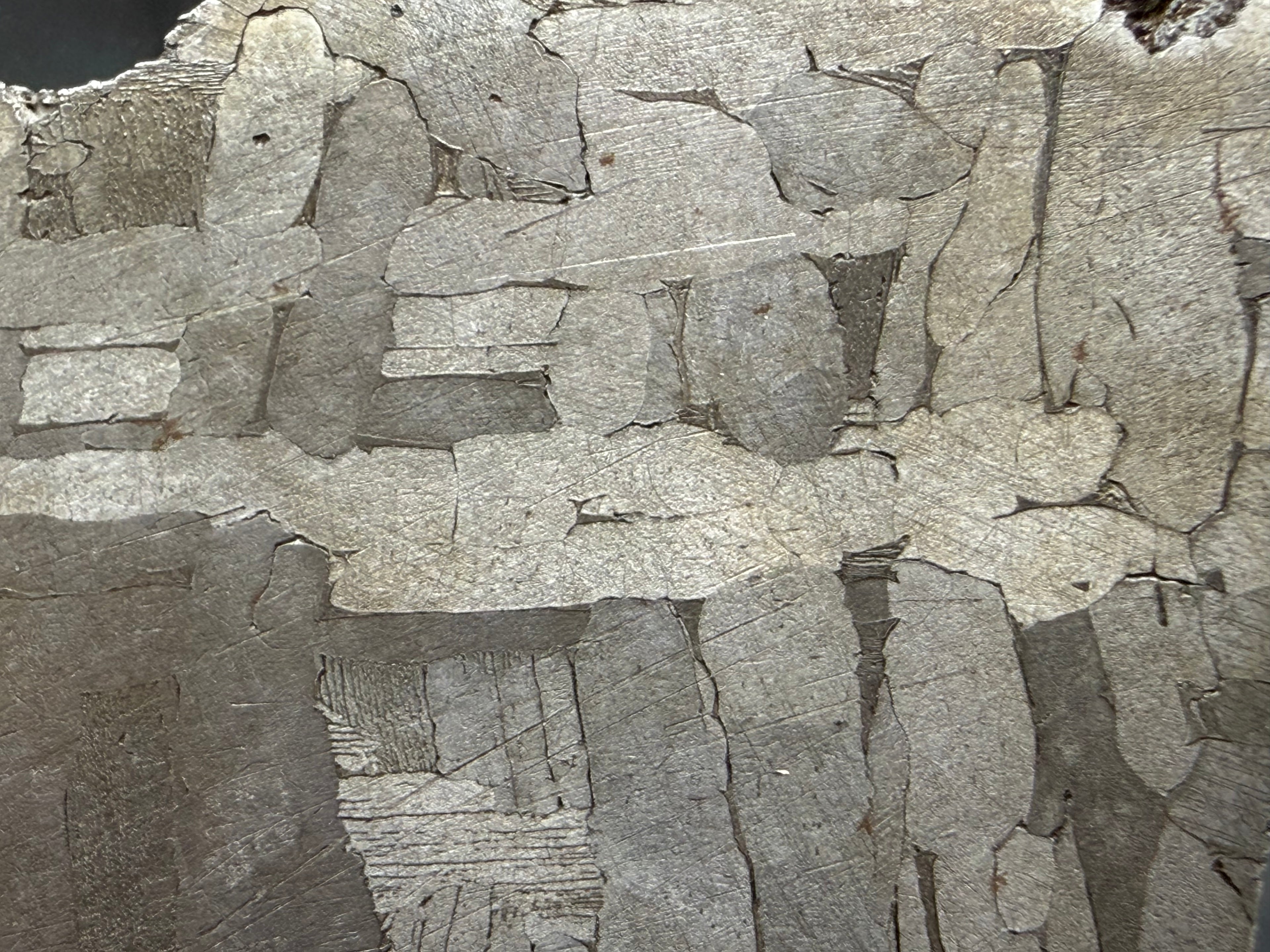 Kaalijärv iron meteorite 33.00g full slice close-up of etched face showing Widmanstätten pattern and kamacite banding