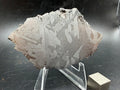 Kaalijärv iron meteorite 45.71g full slice on acrylic display stand angled view showing etched face and natural edge