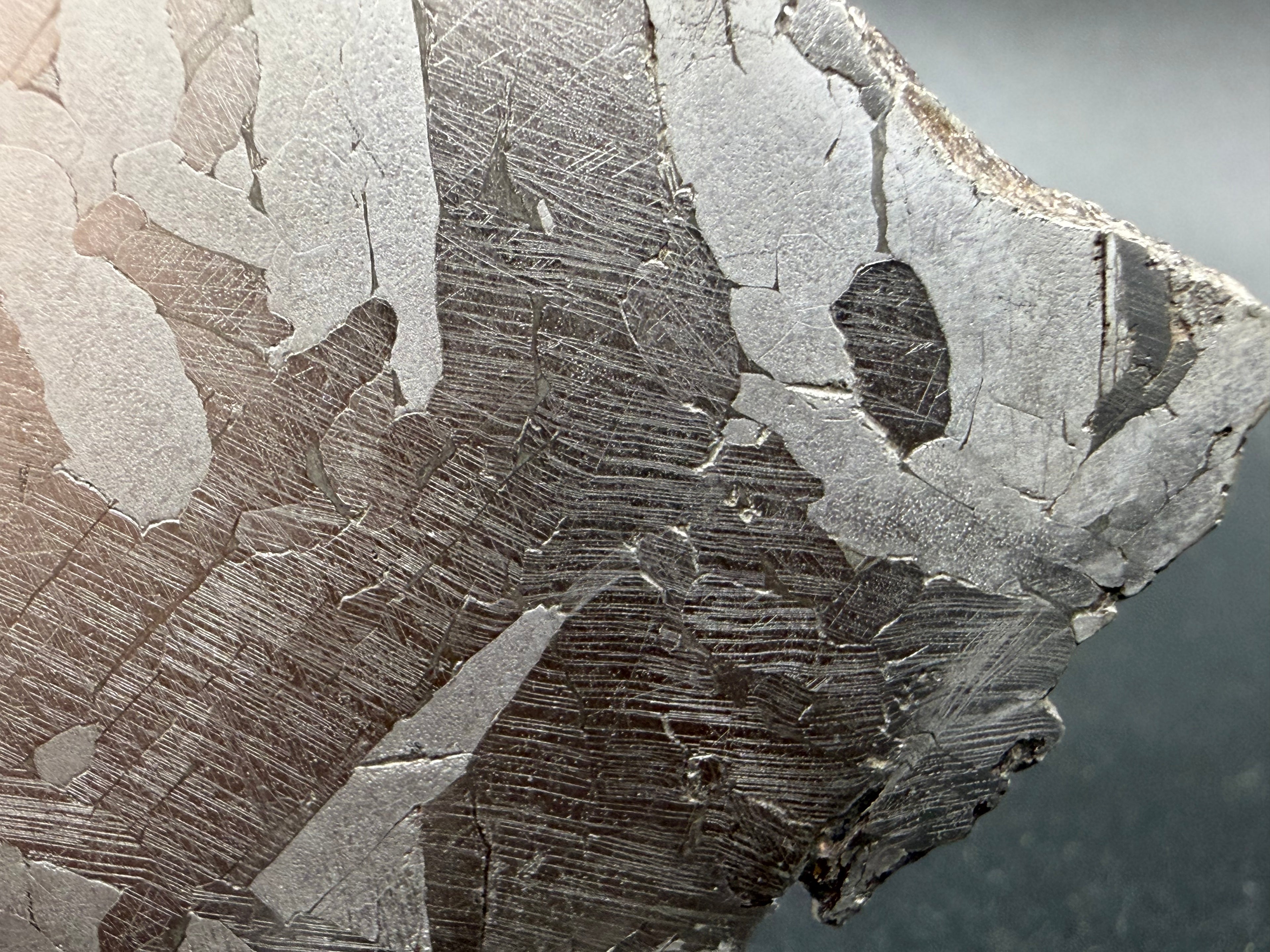 Kaalijärv iron meteorite 45.71g full slice macro detail of Neumann bands right side within kamacite lamellae