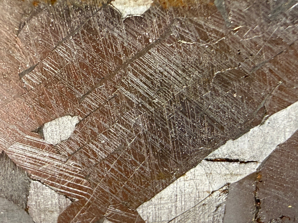 Kaalijärv iron meteorite 45.71g -- Widmanstätten pattern with parallel Neumann band shock features crossing kamacite