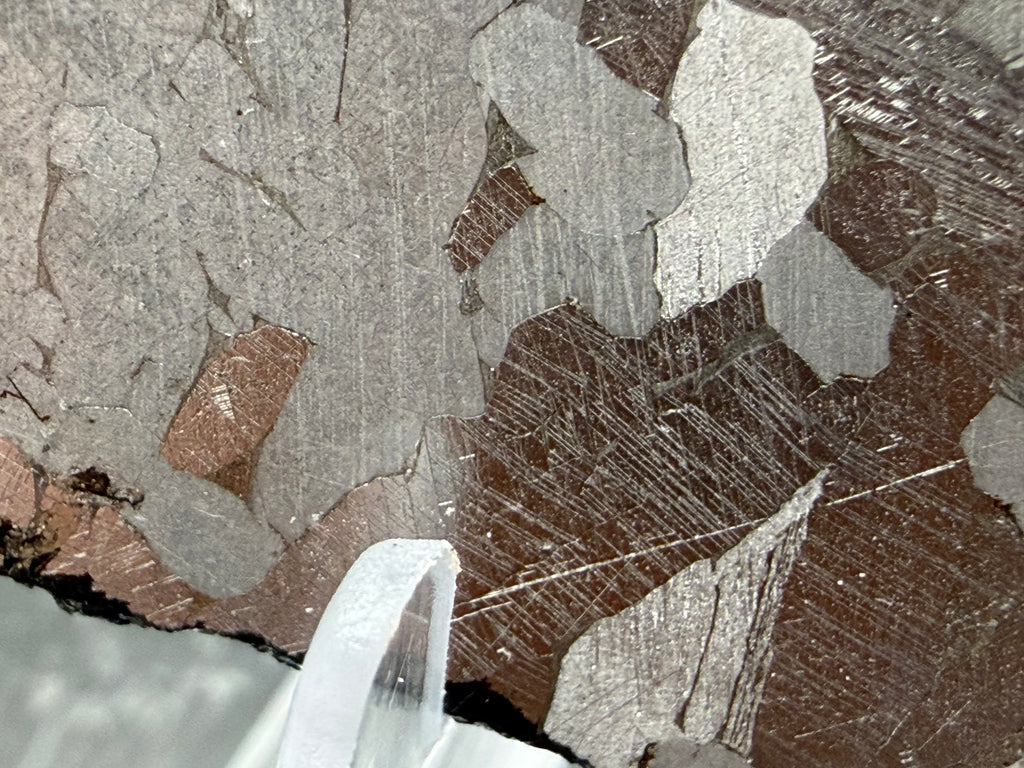 Closeup of Kaalijärv IAB-MG iron meteorite slice showing medium-grained kamacite structure with visible taenite boundaries, 45.71g