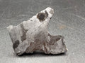 Kaalijarv iron meteorite, IAB-MG, 12.82 g slice standing upright, full etched face with lighter kamacite areas, darker zones crossed by Neumann bands, and a dark rounded nodule near the top