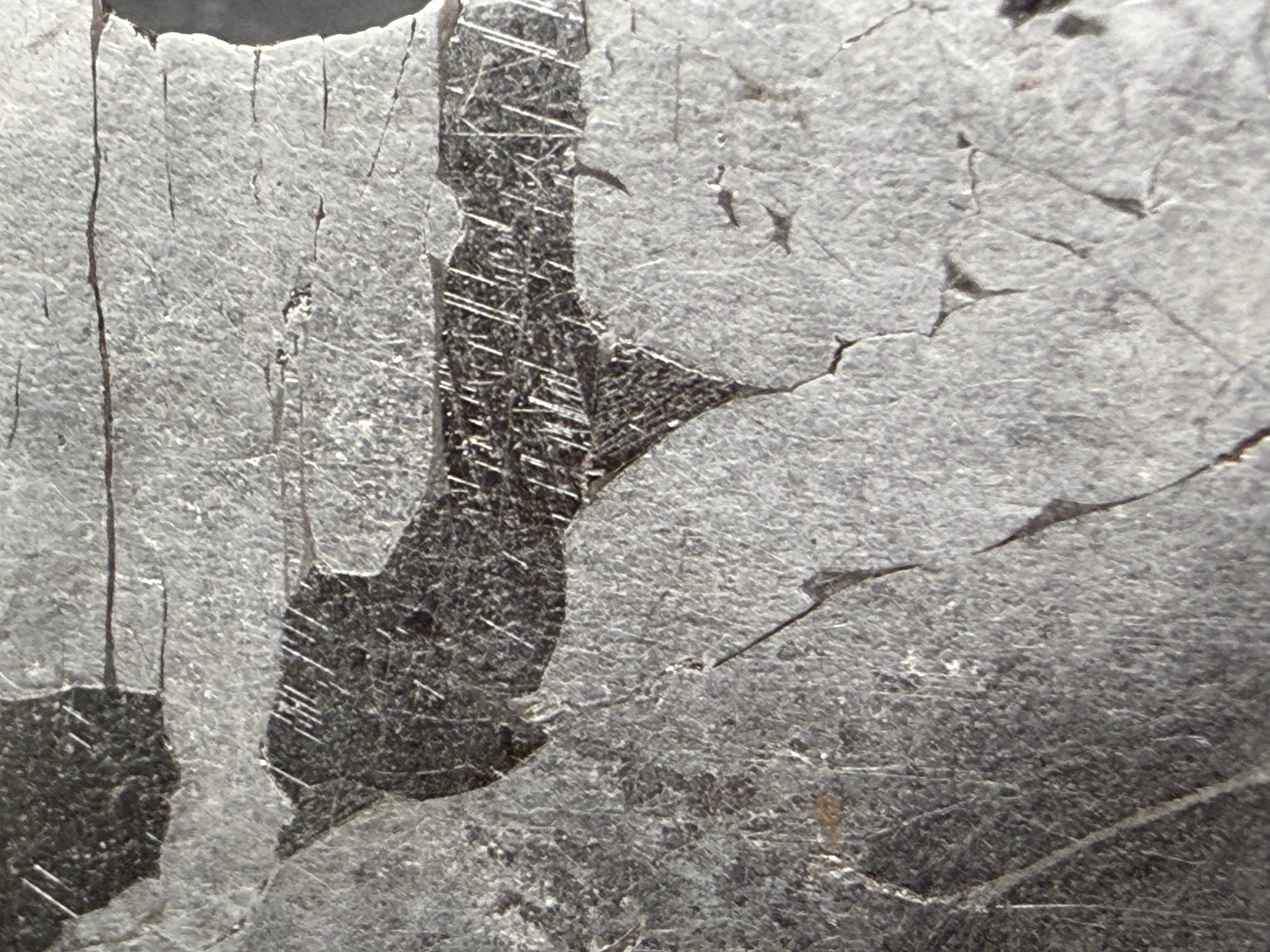 Kaalijarv iron meteorite, IAB-MG, 12.82 g slice, close-up of the etched face with darker zones crossed by fine Neumann bands between lighter kamacite areas