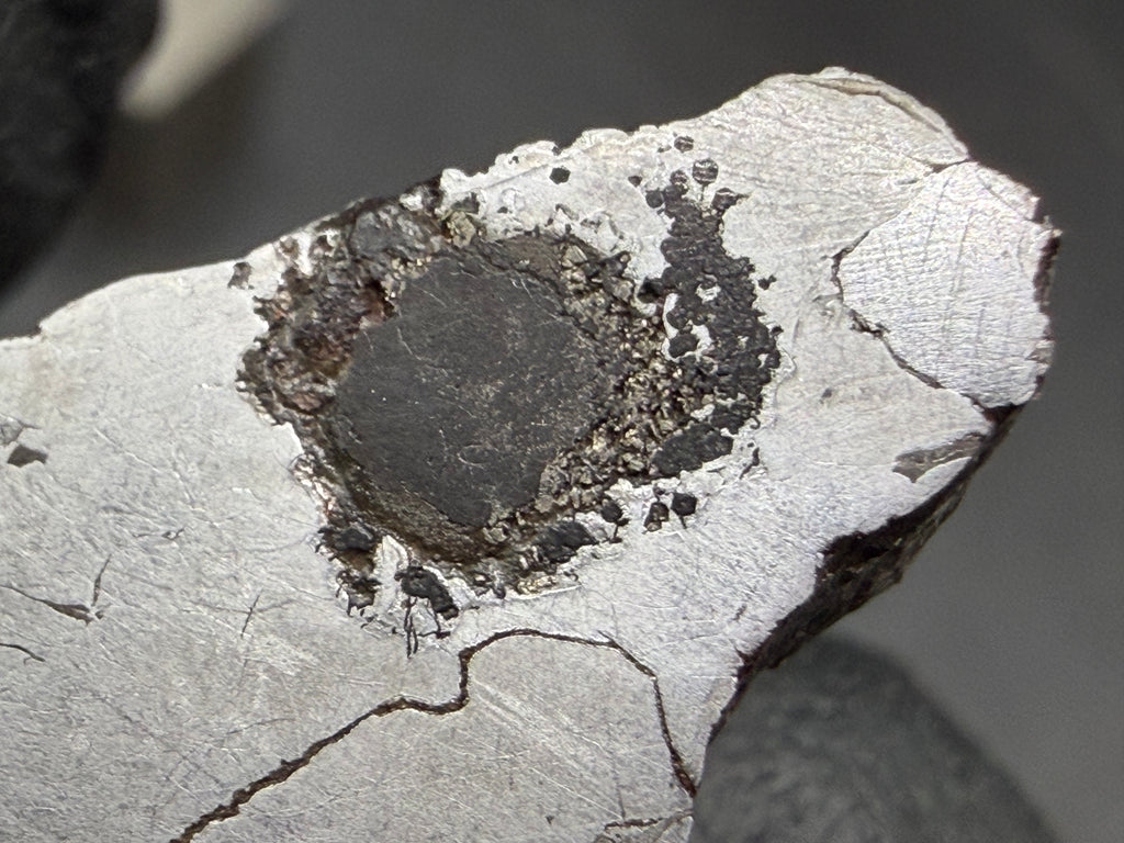 Kaalijarv iron meteorite, IAB-MG, 12.82 g slice, close-up of the dark rounded nodule with a smooth dark center, a granular rim with brassy flecks, and small dark spots spreading to one side
