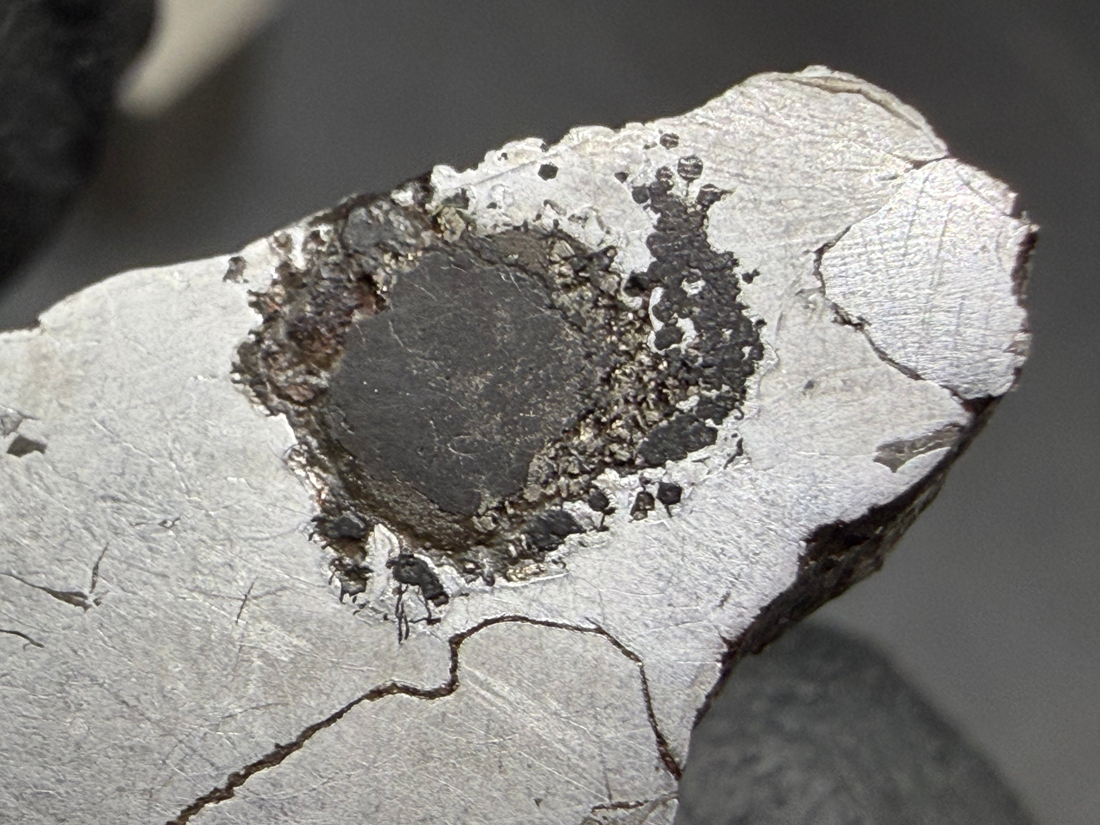 Kaalijarv iron meteorite, IAB-MG, 12.82 g slice, close-up of the dark rounded nodule with a smooth dark center, a granular rim with brassy flecks, and small dark spots spreading to one side