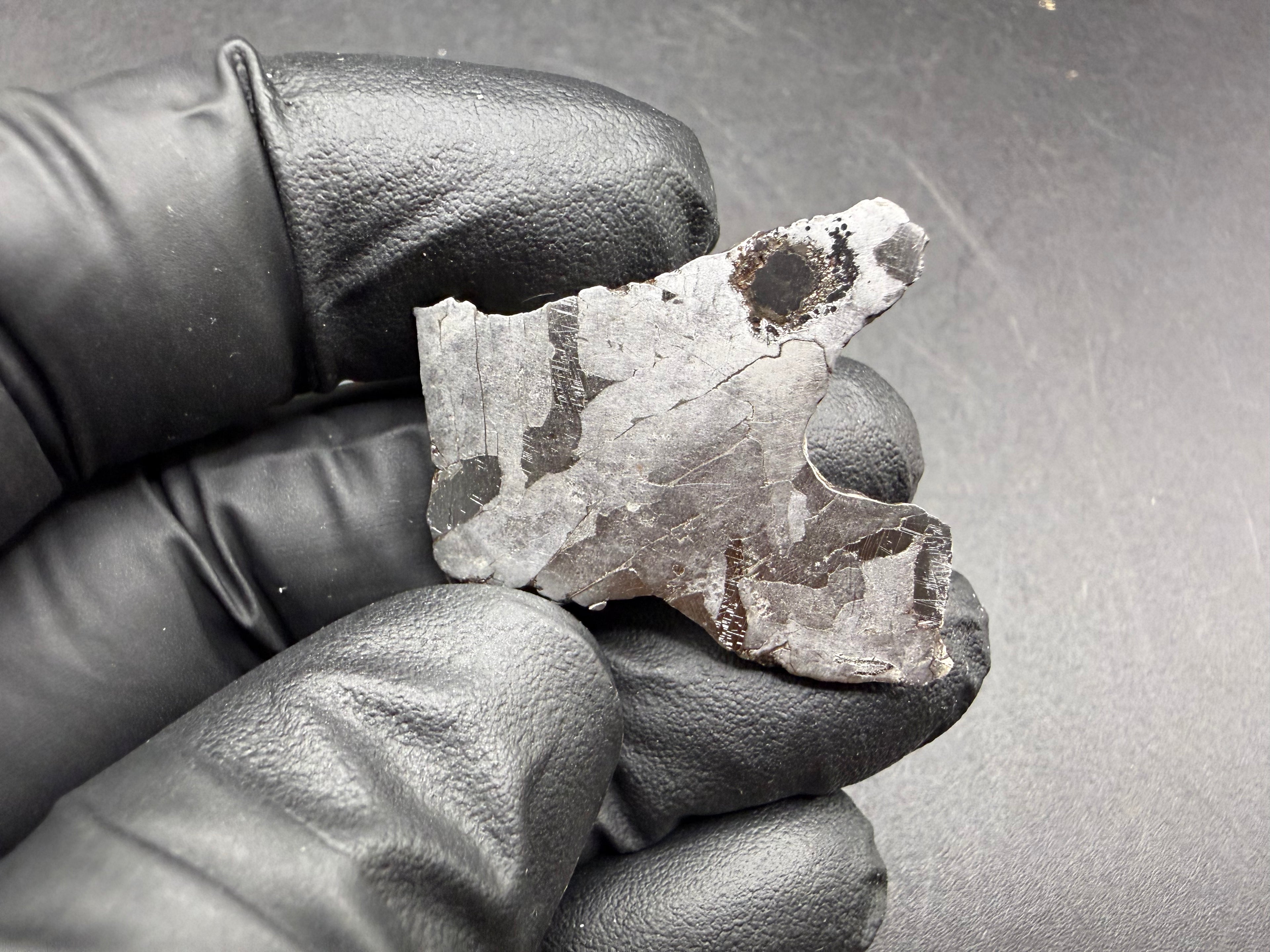 Kaalijarv iron meteorite, IAB-MG, 12.82 g slice held in a gloved hand, etched face with darker zones and the dark nodule near the upper edge