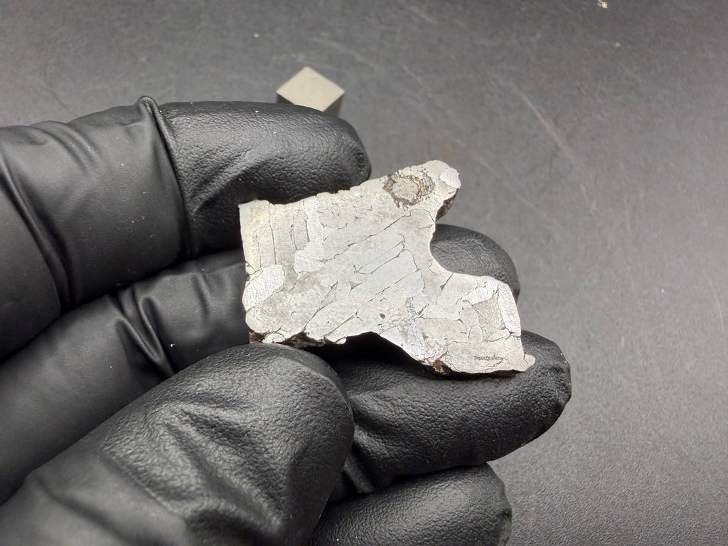 Kaalijarv iron meteorite, IAB-MG, 12.82 g slice held in a gloved hand, reverse face with lighter kamacite plates and the dark nodule at the upper edge