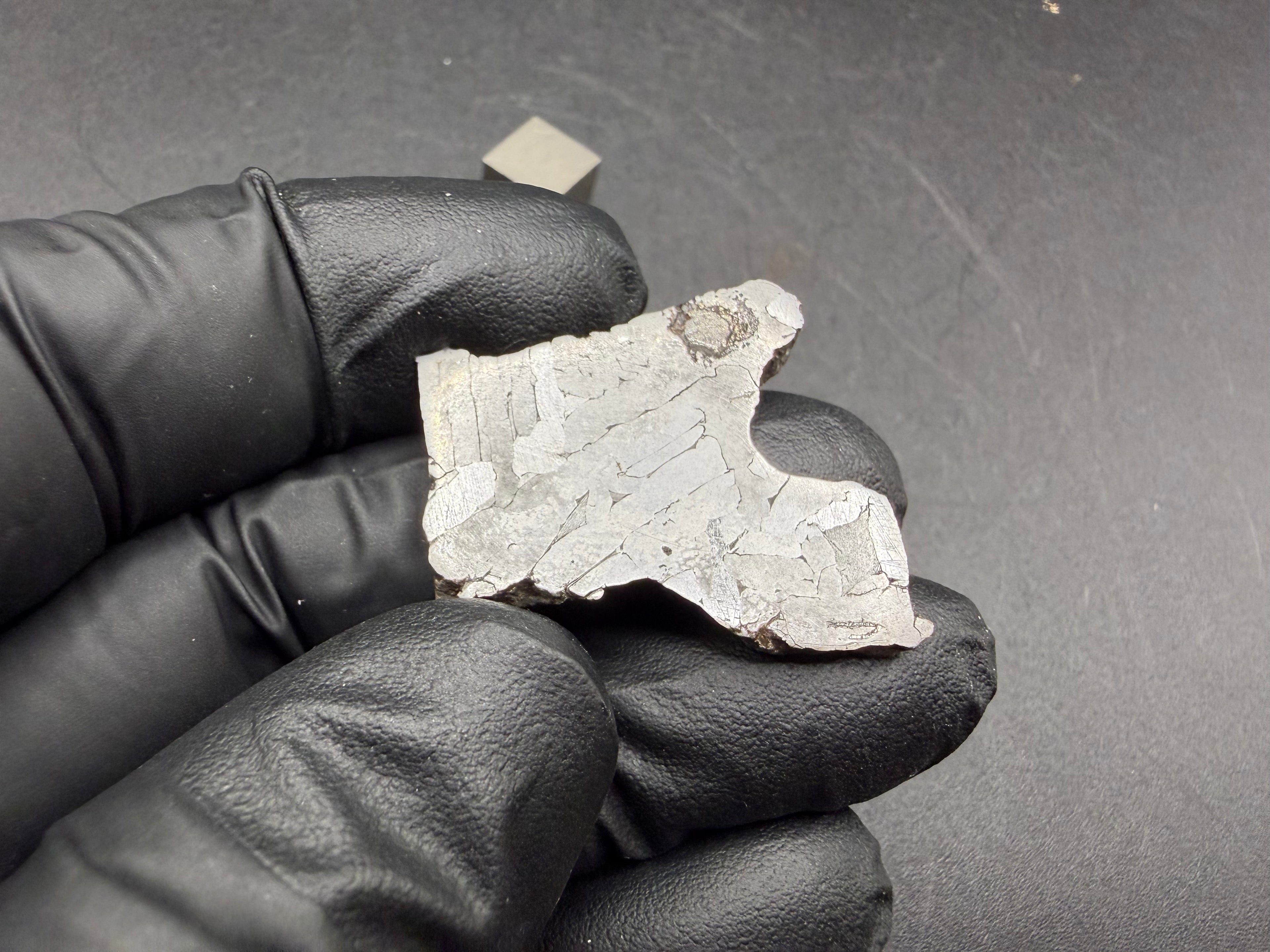 Kaalijarv iron meteorite, IAB-MG, 12.82 g slice held in a gloved hand, reverse face with lighter kamacite plates and the dark nodule at the upper edge