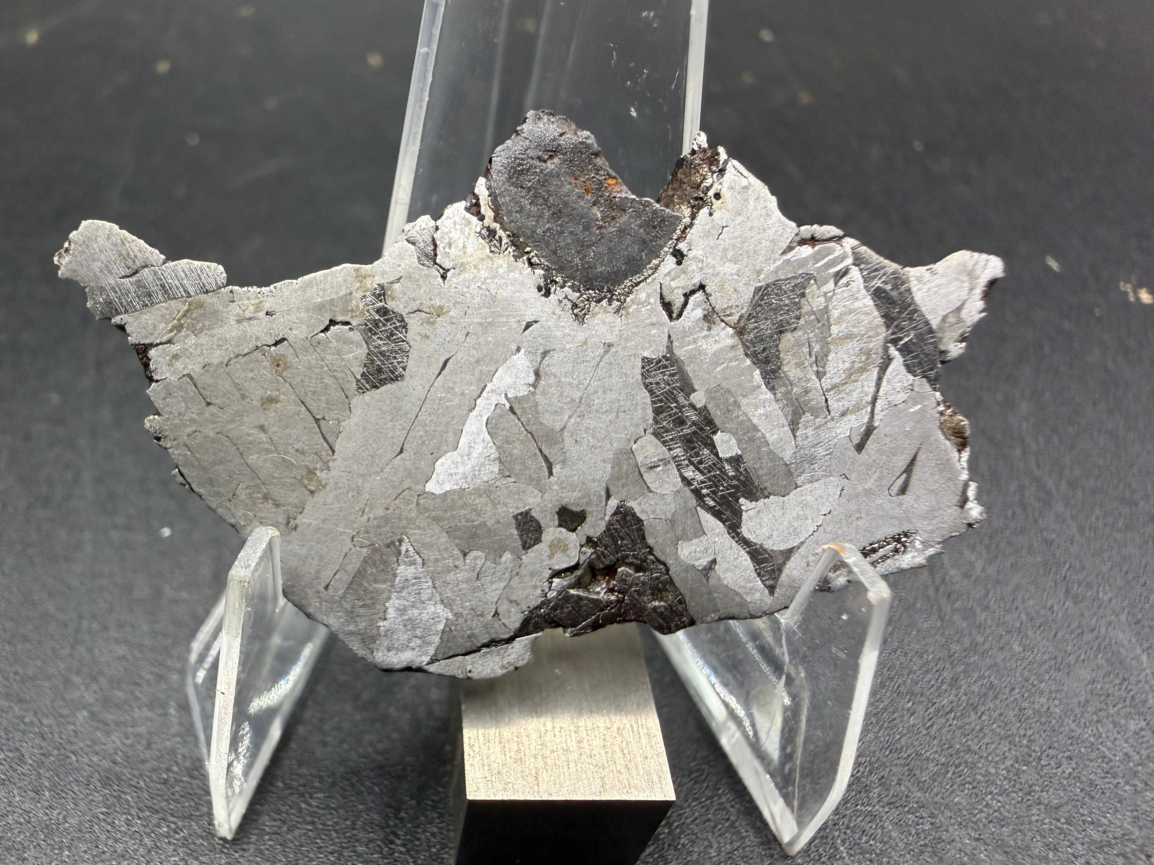 Kaalijarv iron meteorite, IAB-MG, 12.83 g slice standing upright, full etched face with crossing kamacite plates, darker zones with Neumann bands, and a large dark nodule at the top edge