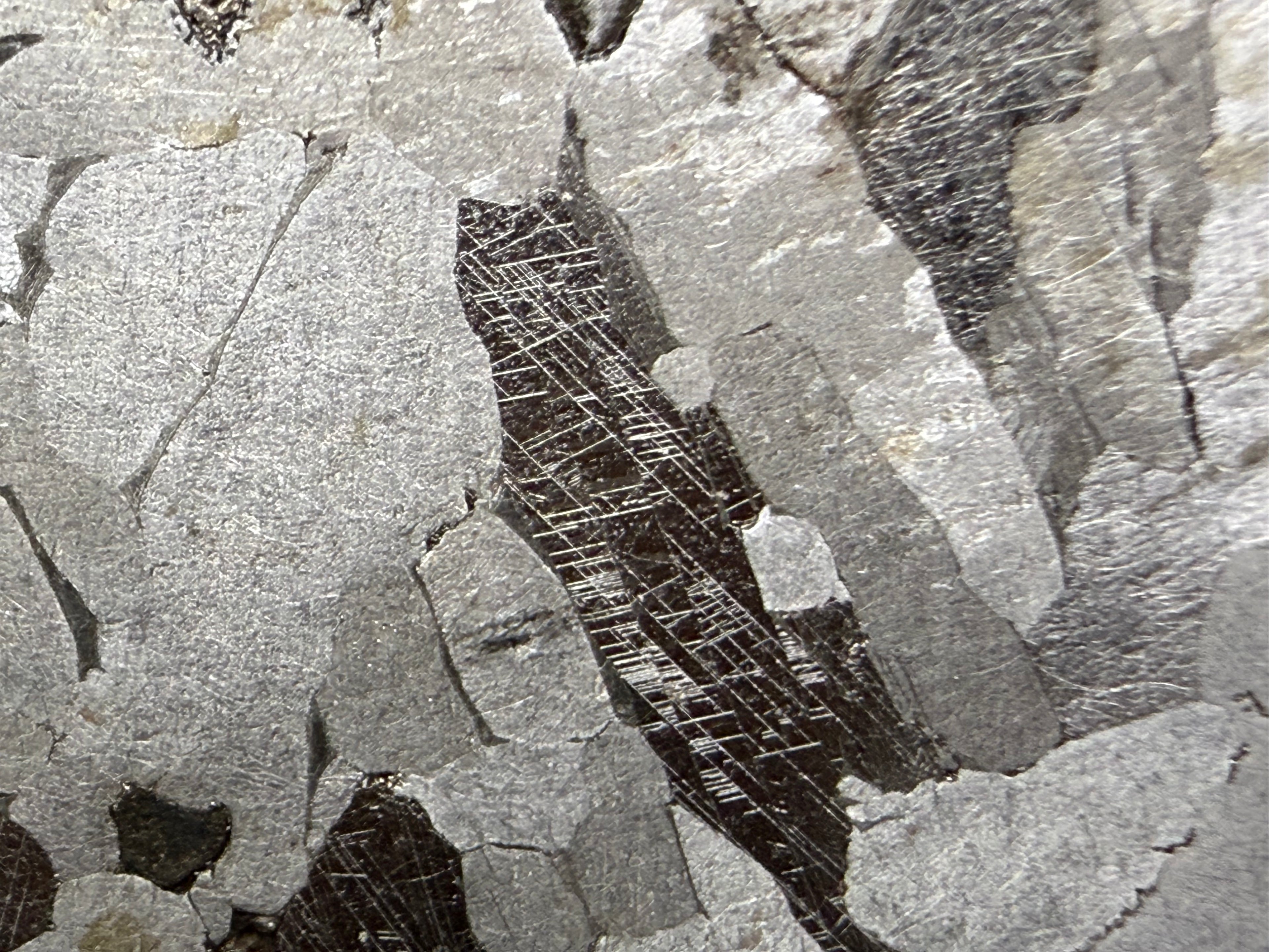 Kaalijarv iron meteorite, IAB-MG, 12.83 g slice, close-up of the etched face with a dark zone crossed by intersecting Neumann bands between lighter kamacite crystals