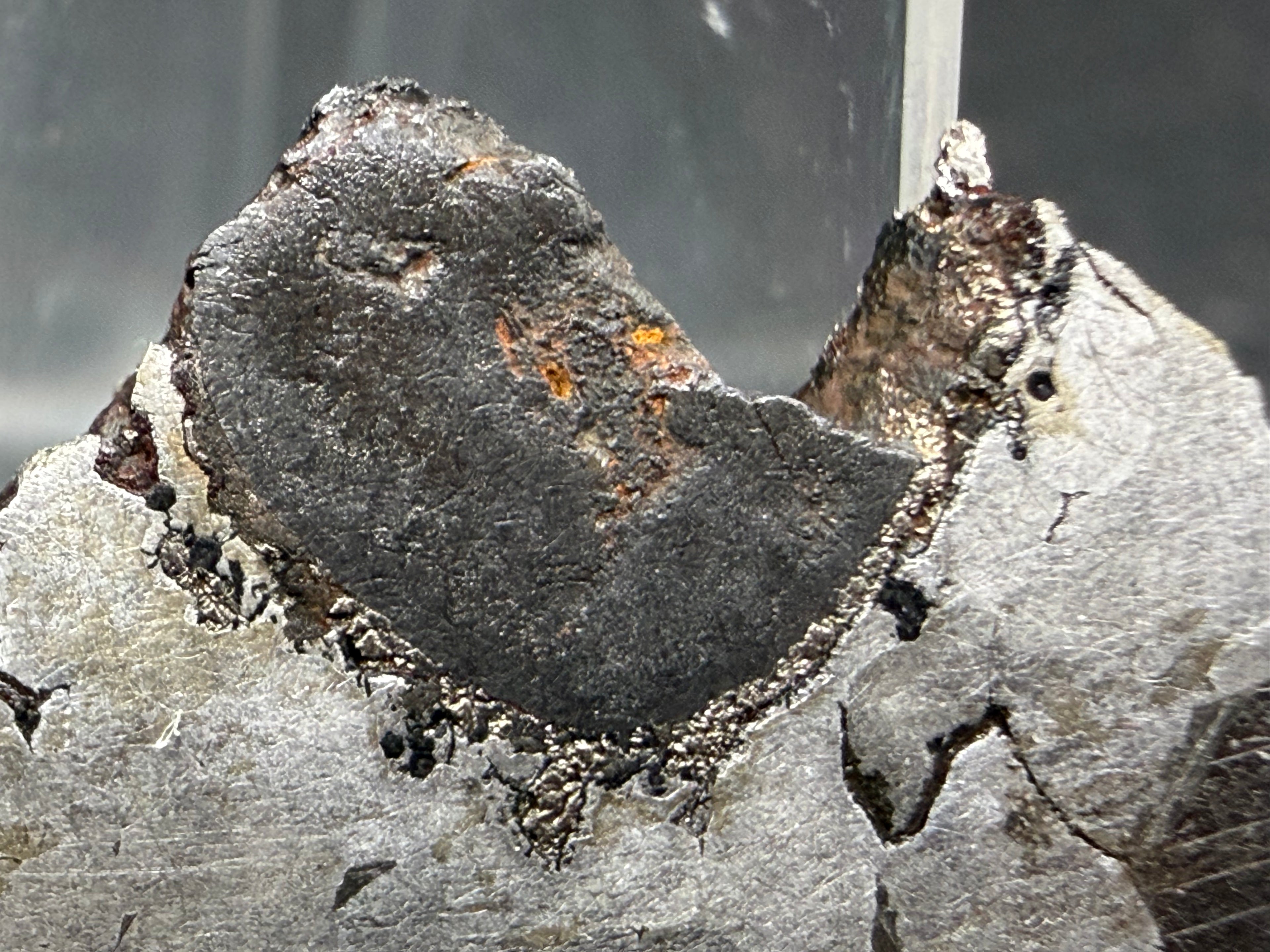 Kaalijarv iron meteorite, IAB-MG, 12.83 g slice, close-up of the large dark nodule at the edge, with a dark gray surface, small orange-brown oxidation spots, and a granular rim with brassy flecks