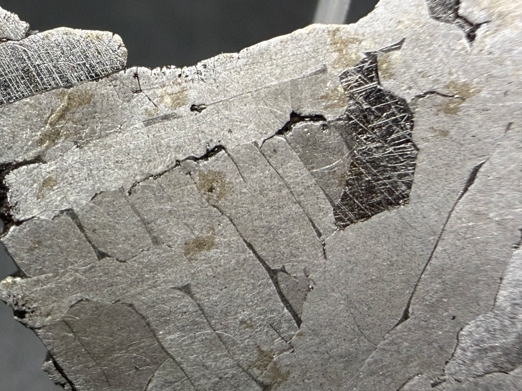 Kaalijarv iron meteorite, IAB-MG, 12.83 g slice, close-up of parallel kamacite plates near the edge with one darker area crossed by Neumann bands