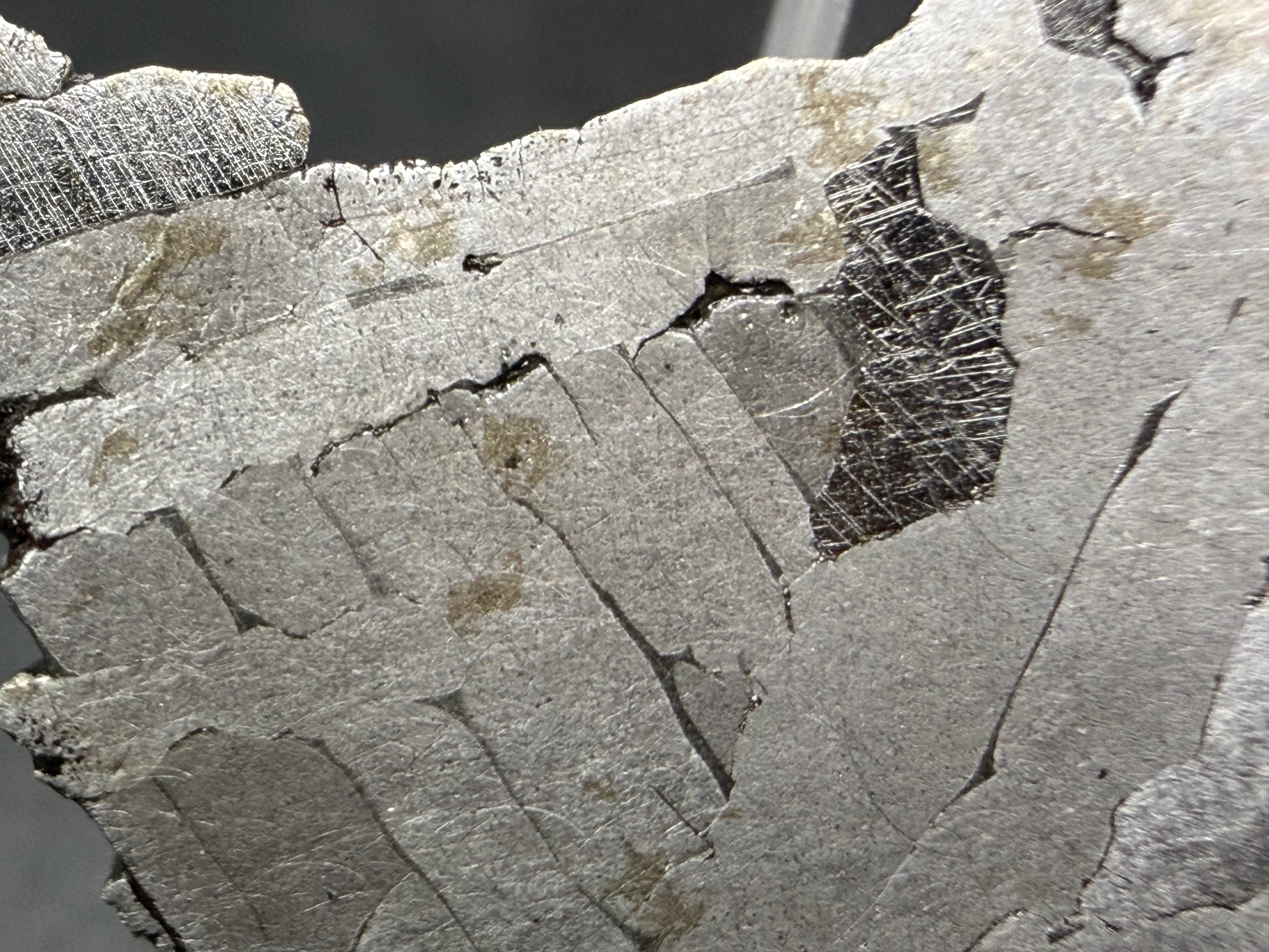Kaalijarv iron meteorite, IAB-MG, 12.83 g slice, close-up of parallel kamacite plates near the edge with one darker area crossed by Neumann bands