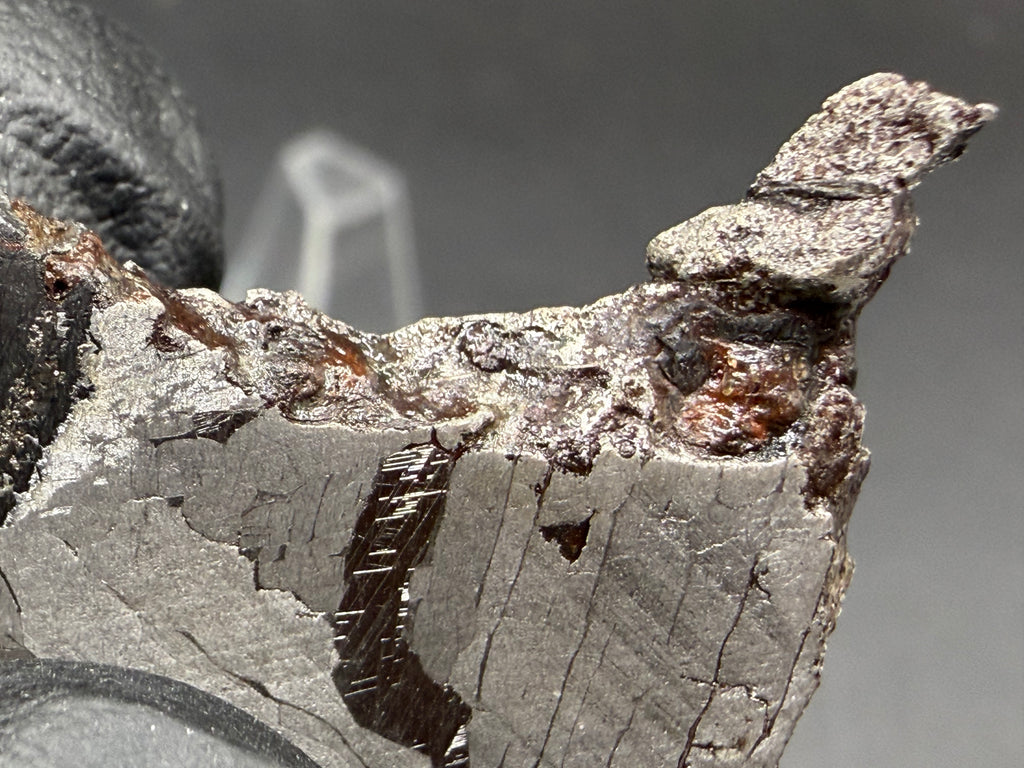 Kaalijarv iron meteorite, IAB-MG, 12.83 g slice, close-up of the brown weathered outer edge above the etched face, with a narrow dark band of Neumann lines below