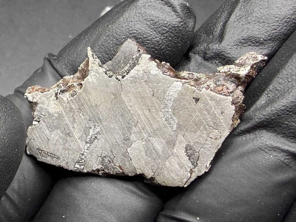 Kaalijarv iron meteorite, IAB-MG, 12.83 g slice held in a gloved hand, second face under bright light with lighter kamacite areas and brown weathered metal along the upper edge