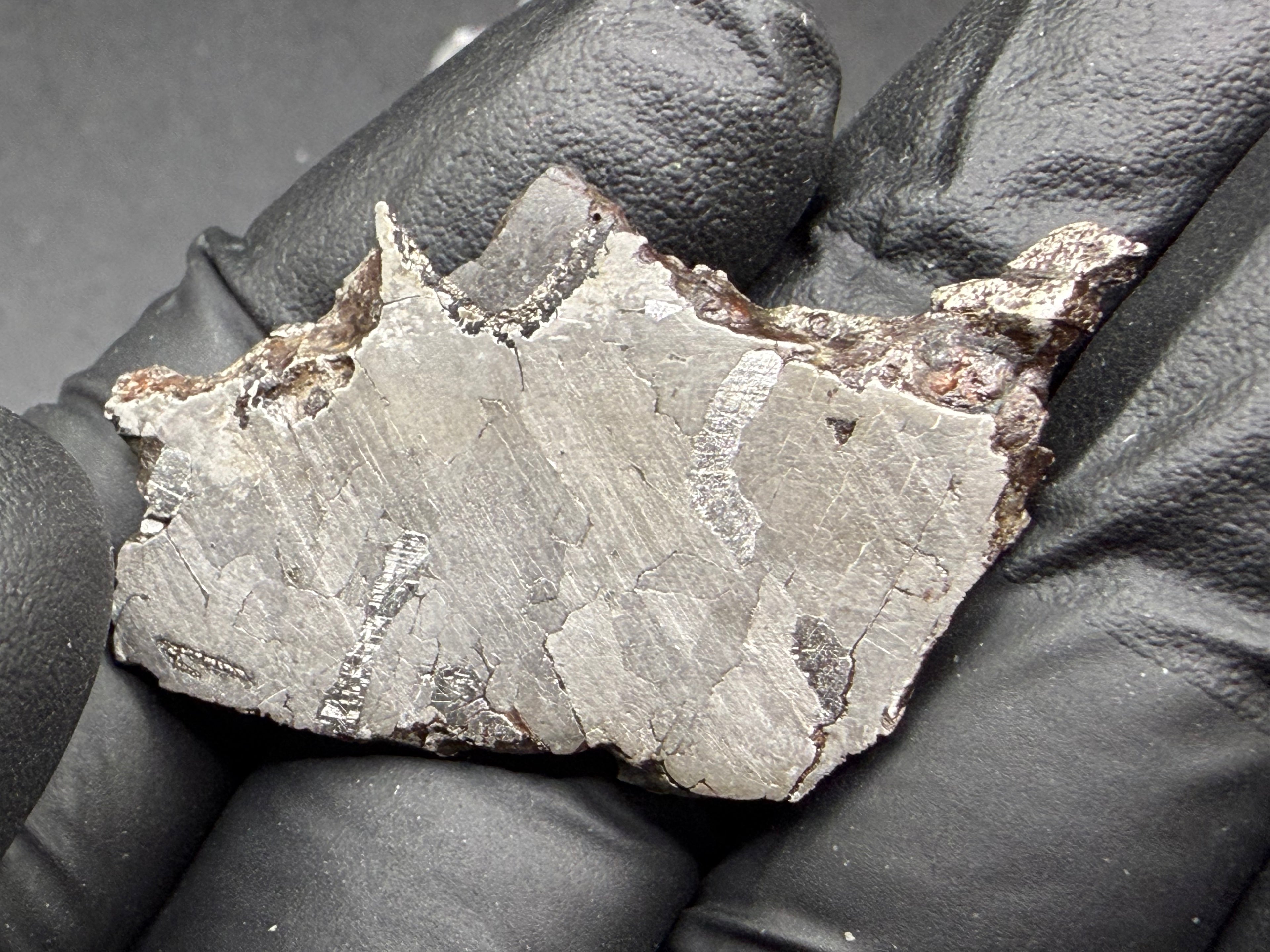 Kaalijarv iron meteorite, IAB-MG, 12.83 g slice held in a gloved hand, second face under bright light with lighter kamacite areas and brown weathered metal along the upper edge